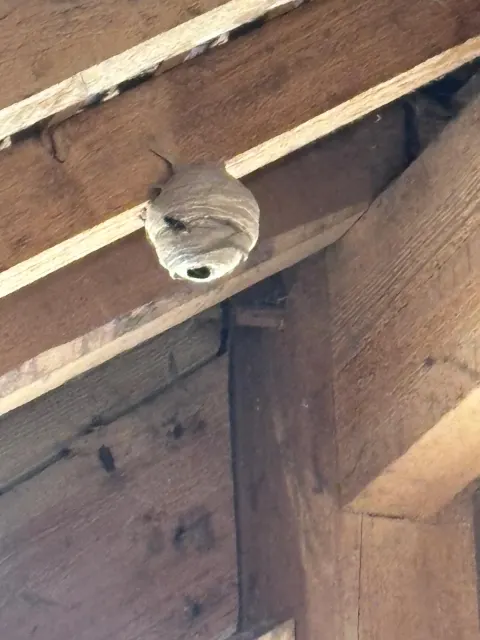 Signalement à Saint-Leu-la-Forêt