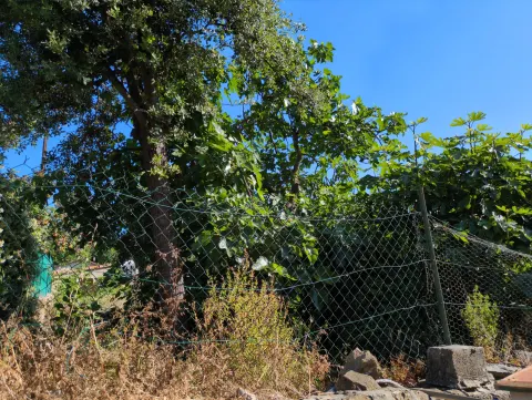 Signalement à La Ciotat