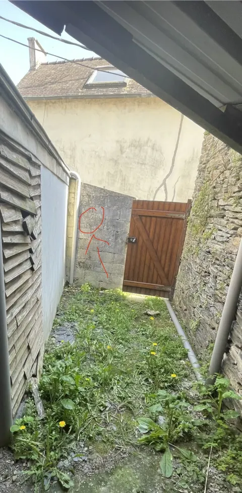 Nid de frelon asiatique à Châteaulin (29) — Confirmé