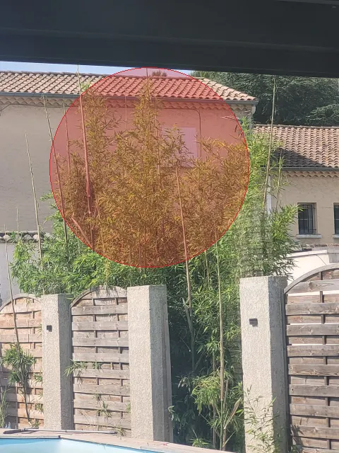 Signalement à Châteaurenard