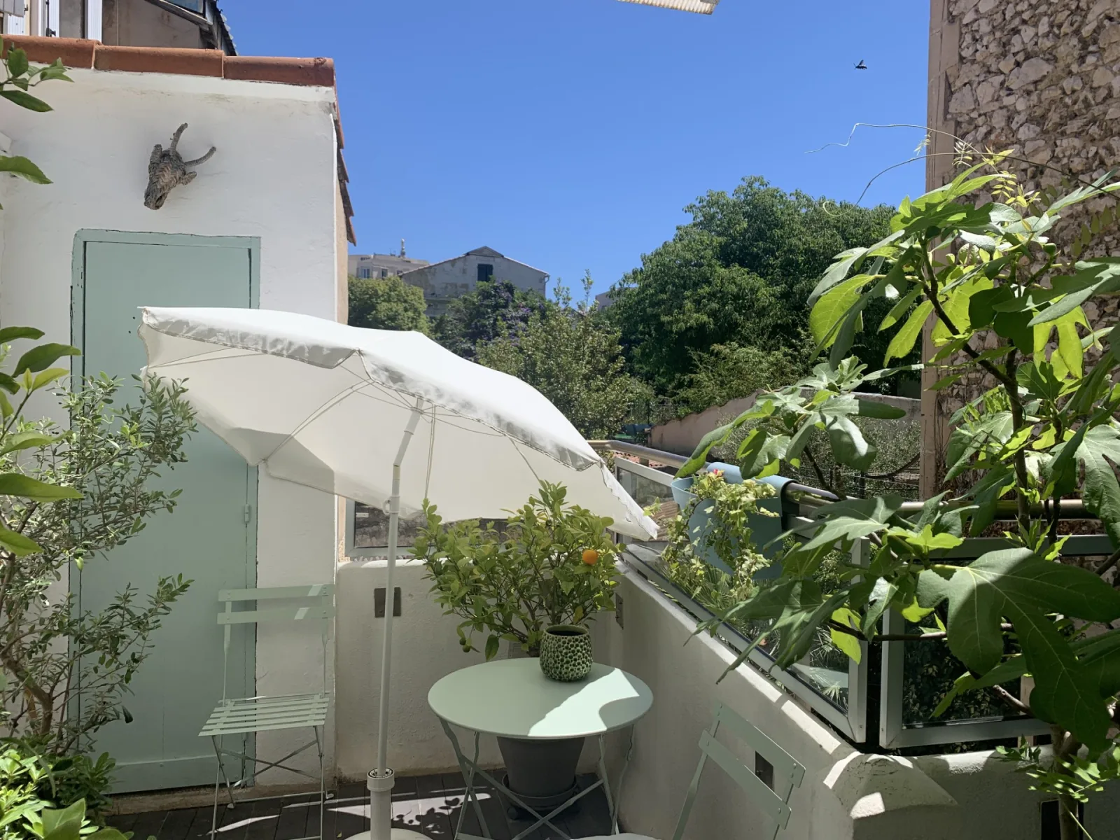 Nid de frelon asiatique à Marseille (13)