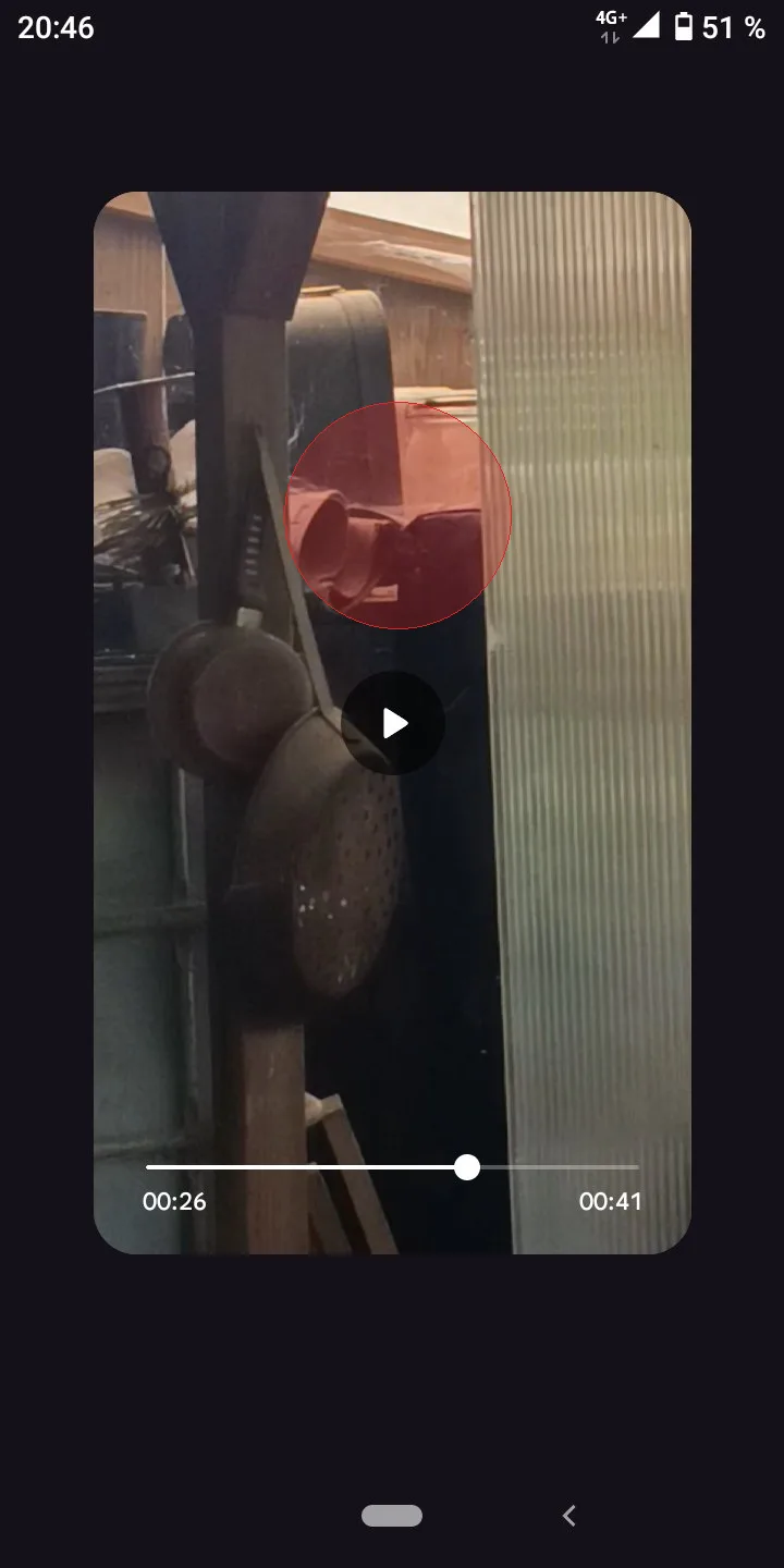 Nid de frelon asiatique à Saint-André-des-Eaux (22)