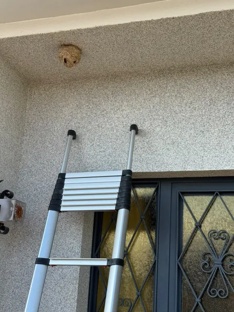 Photo signalement
