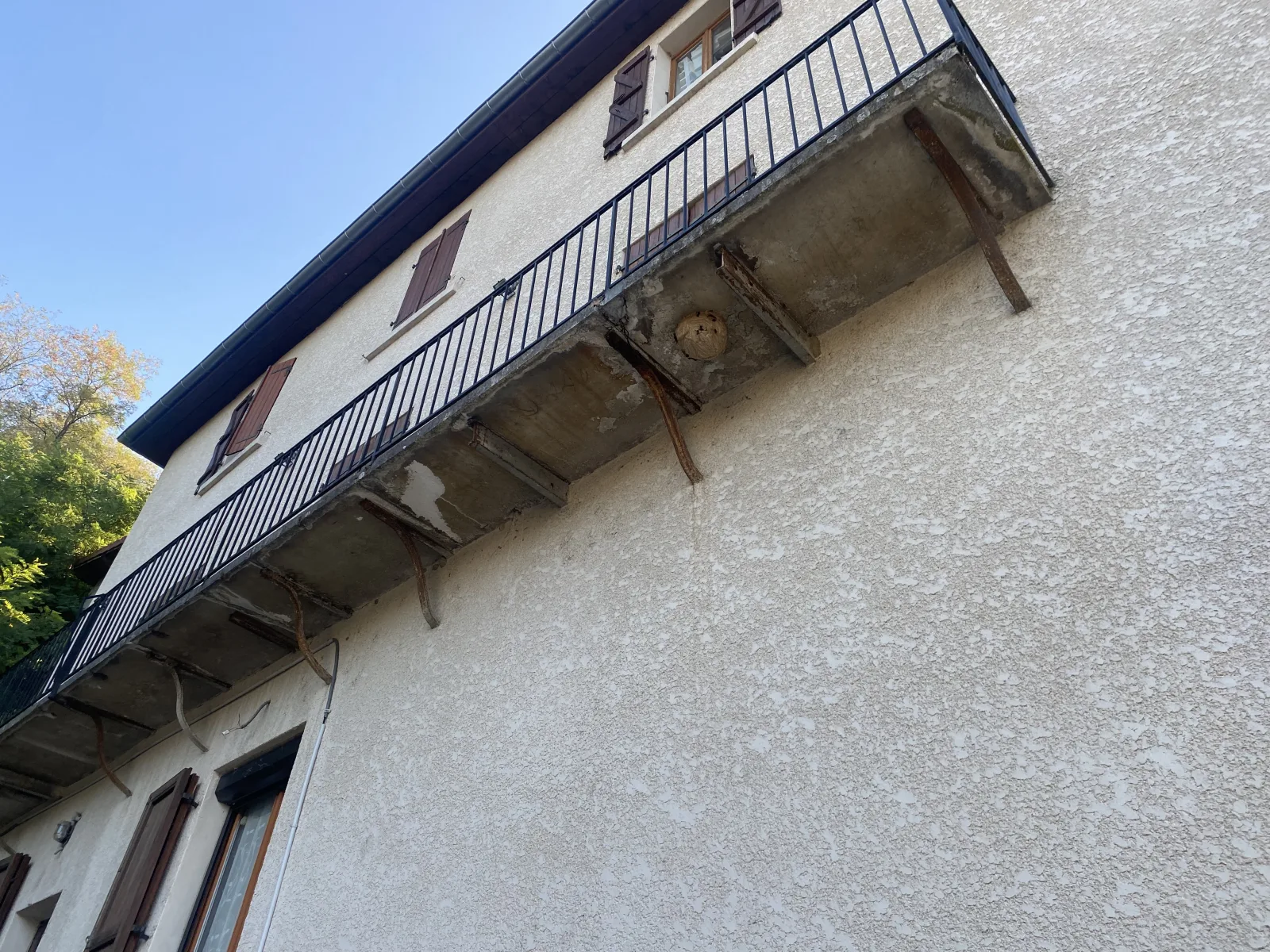 Nid / nuisance à Voiron (38) — SignalNids