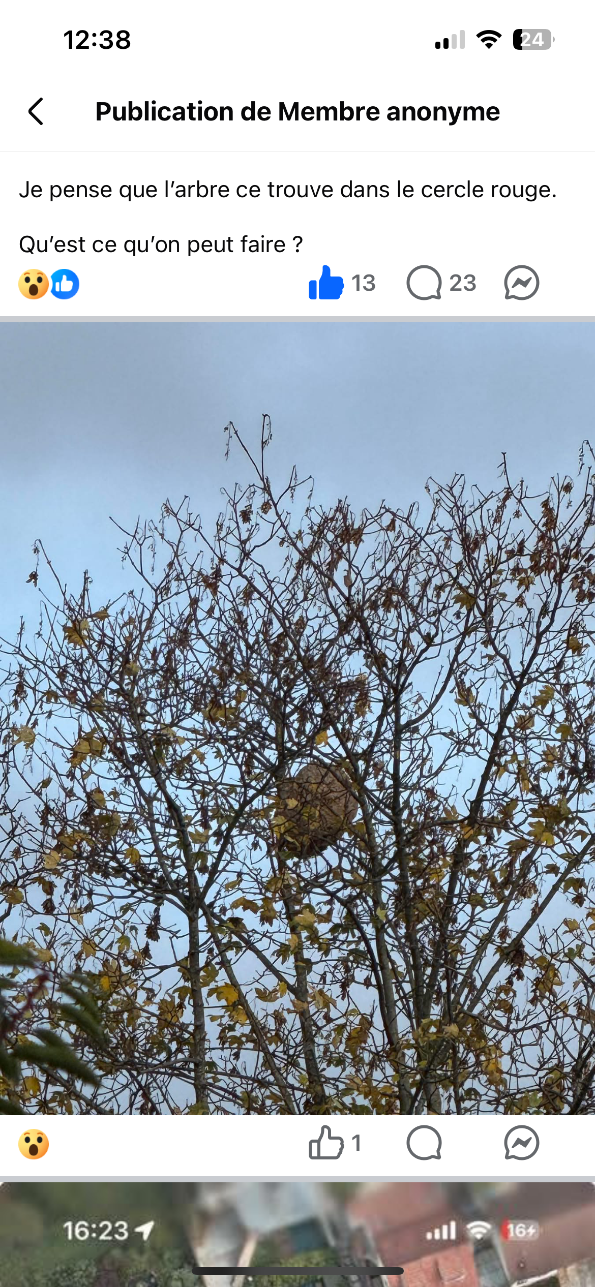 Photo supplémentaire du signalement #169