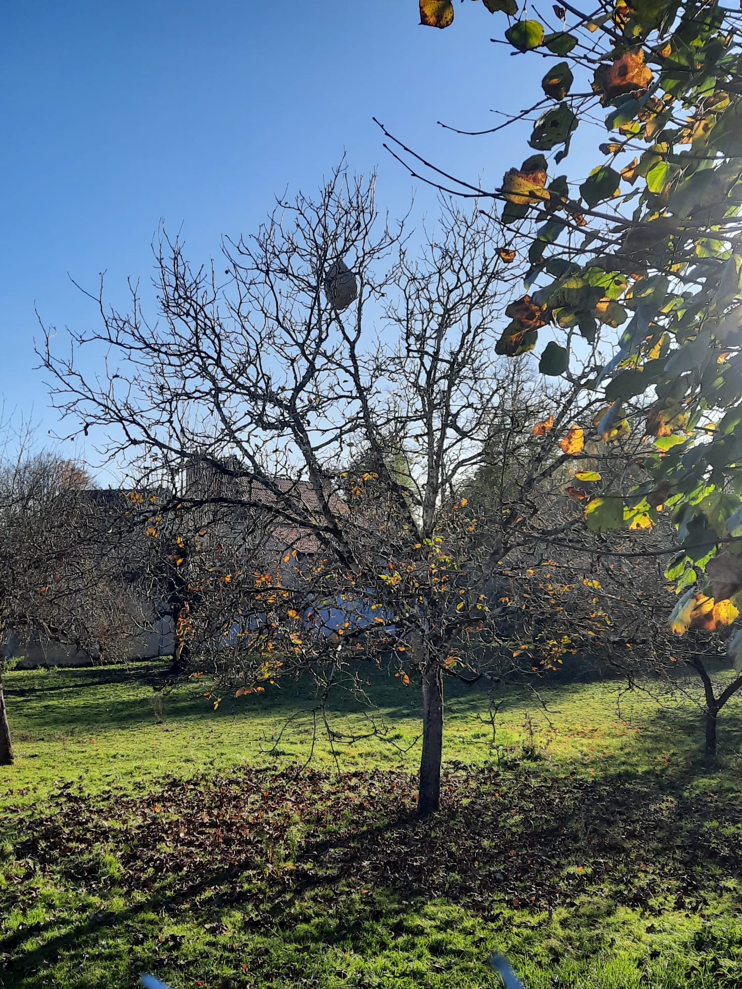 Photo supplémentaire du signalement #183