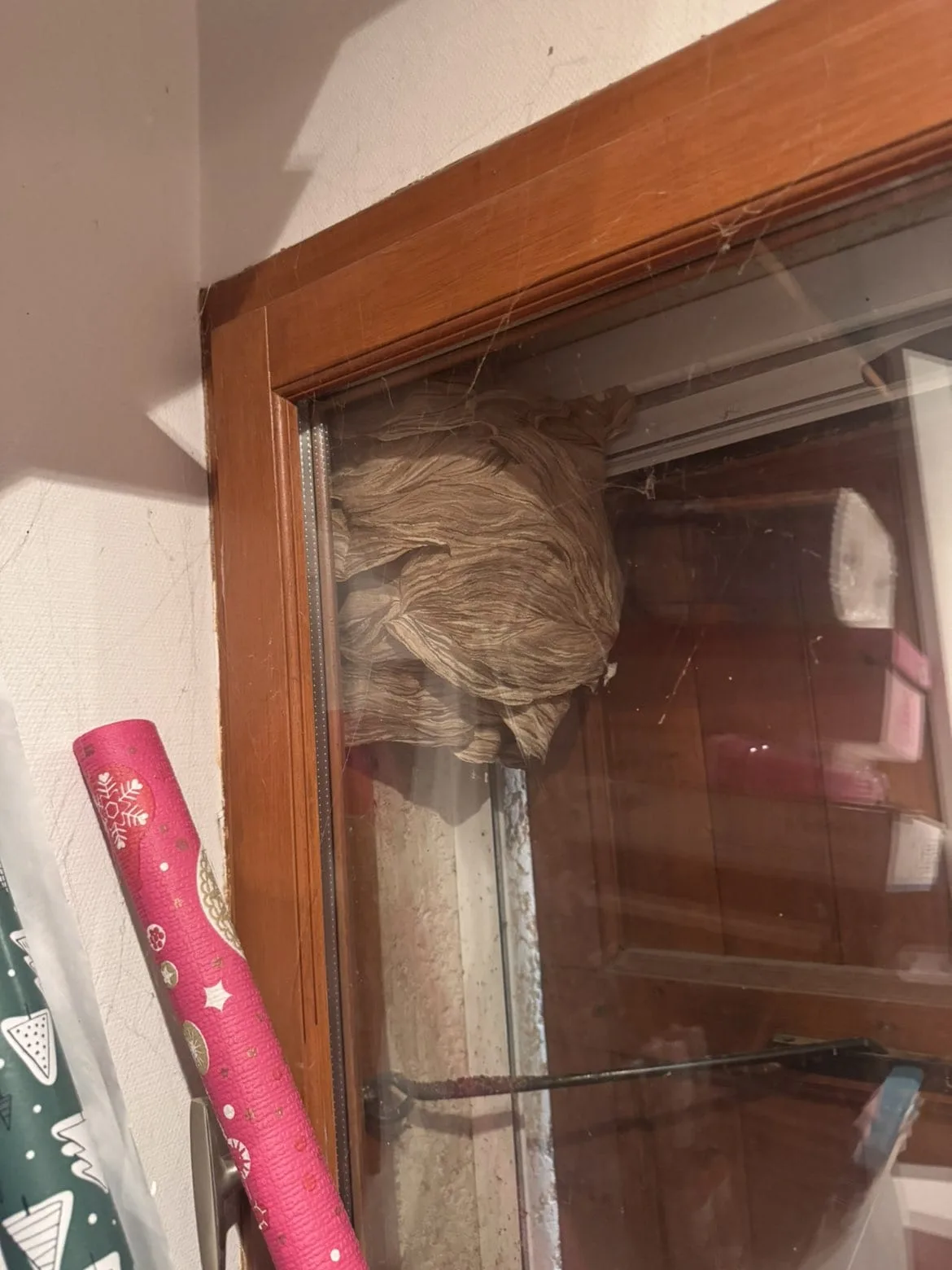 Nid / nuisance à Voreppe (38) — SignalNids