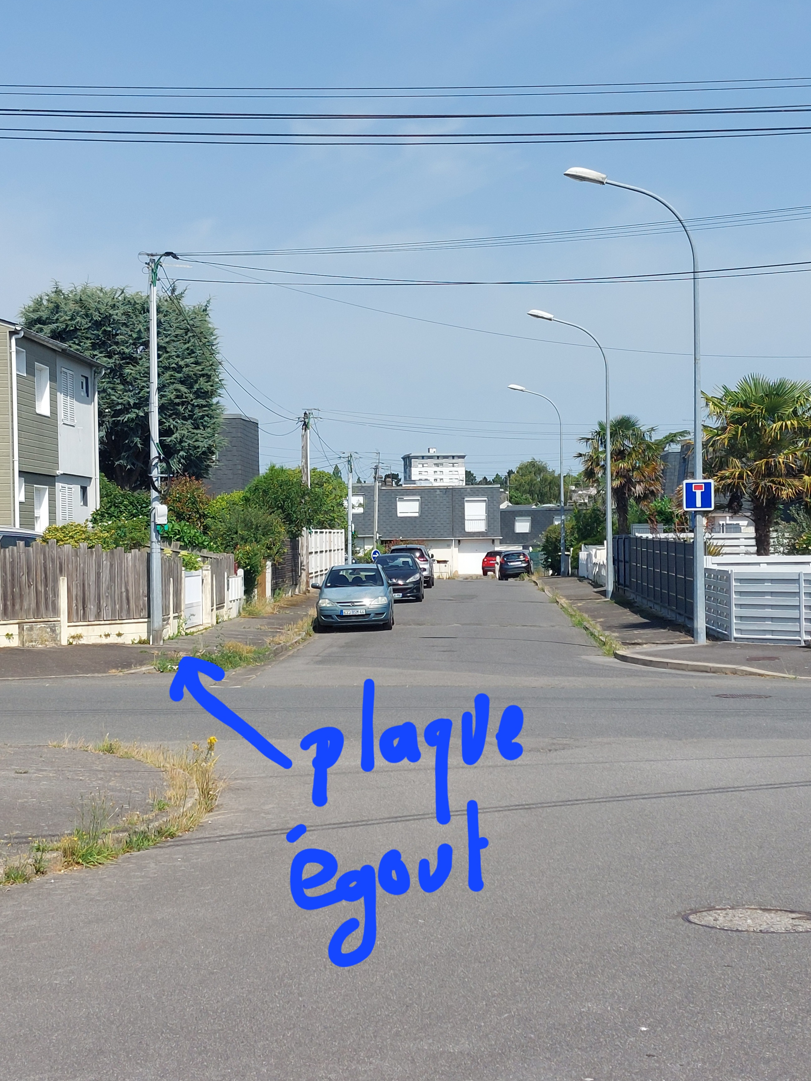 Nid de frelon asiatique à Saint-Nazaire (44) — SignalNids