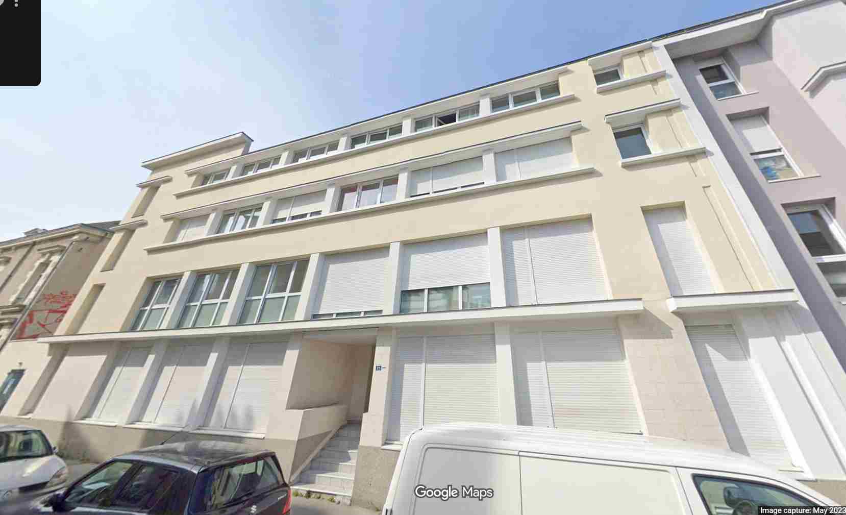 Nid de frelon asiatique à Nantes (44) — SignalNids
