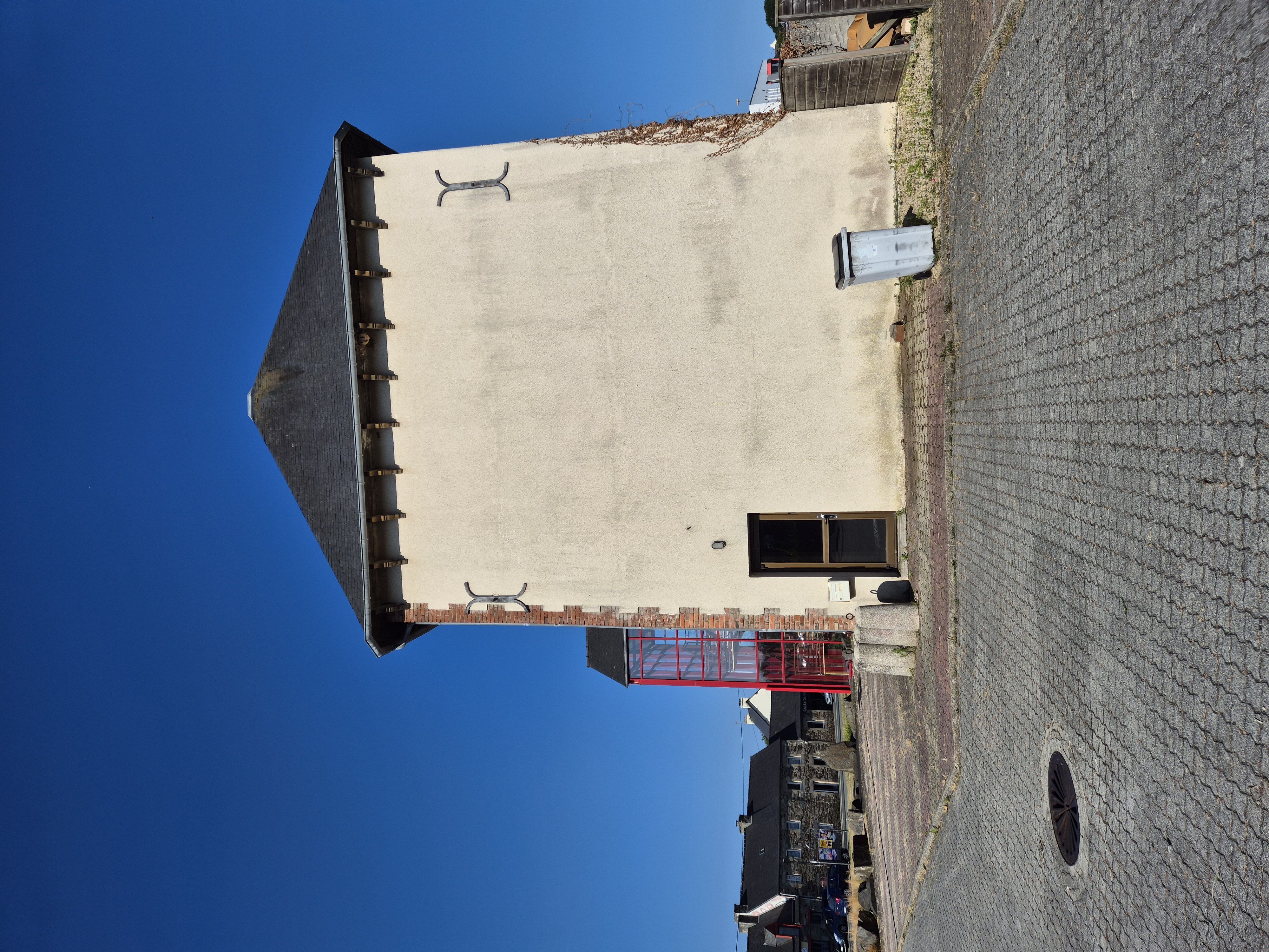 Nid de frelon asiatique à Lannion (22) — SignalNids