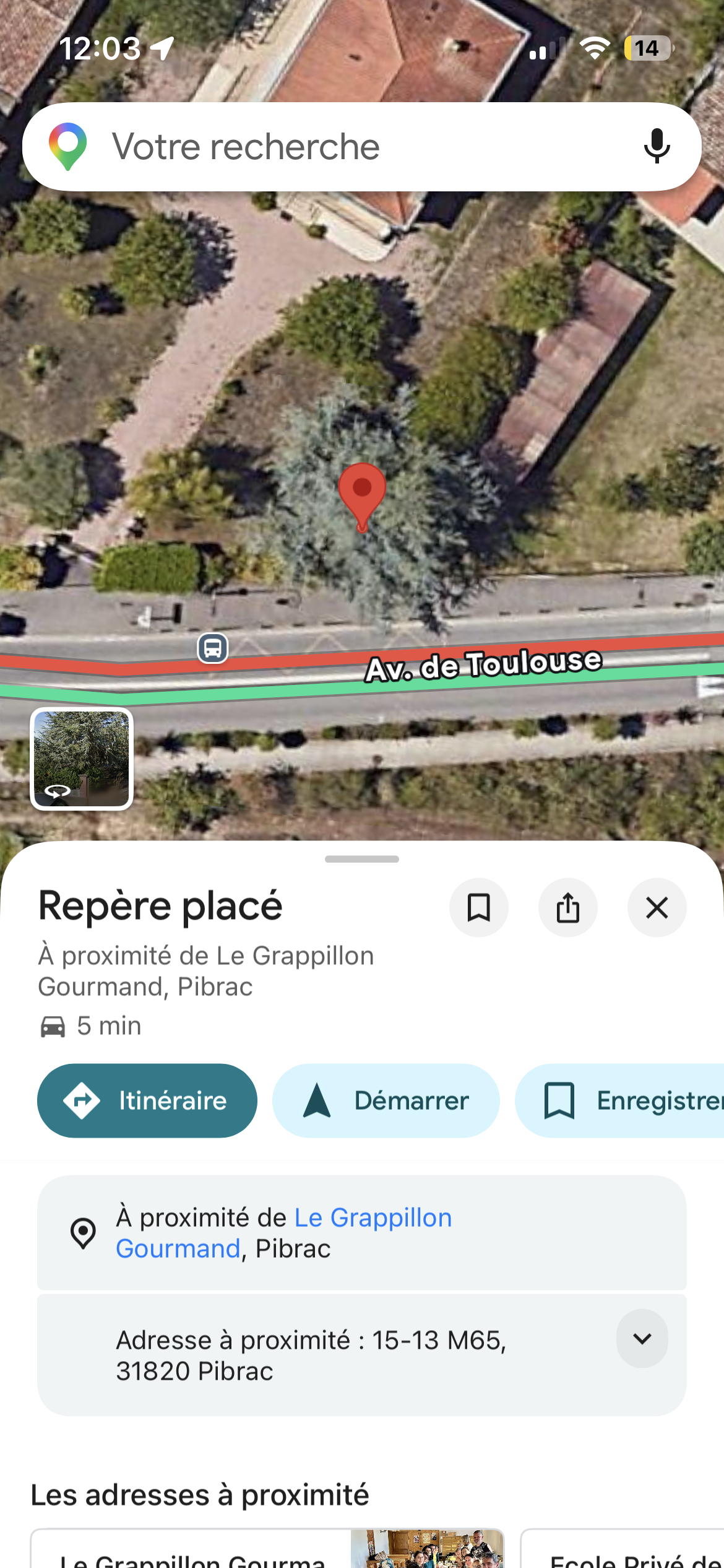 Nid de frelon asiatique à Pibrac (31) — SignalNids