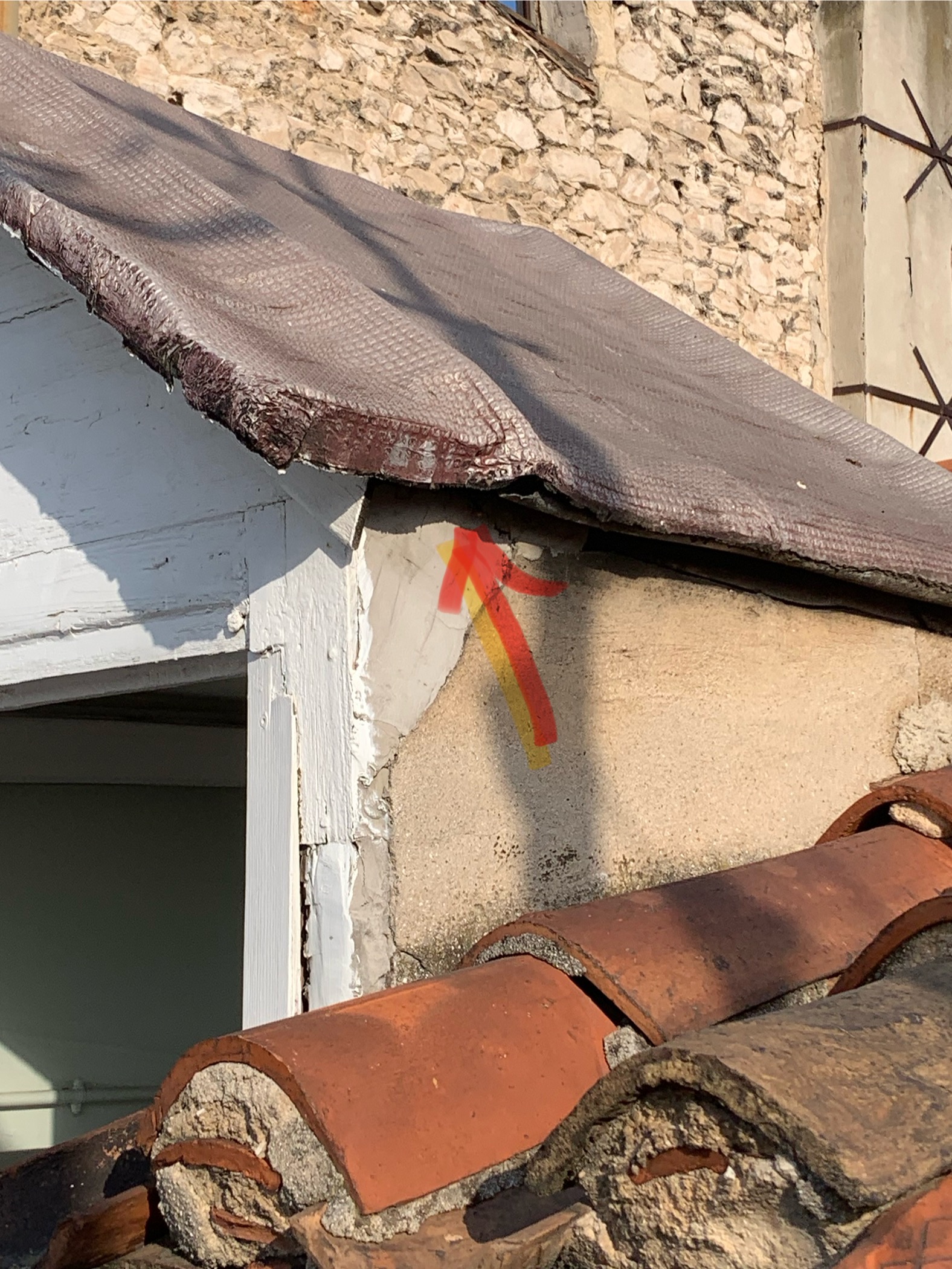 Nid de frelon asiatique à Marseille (13) — SignalNids