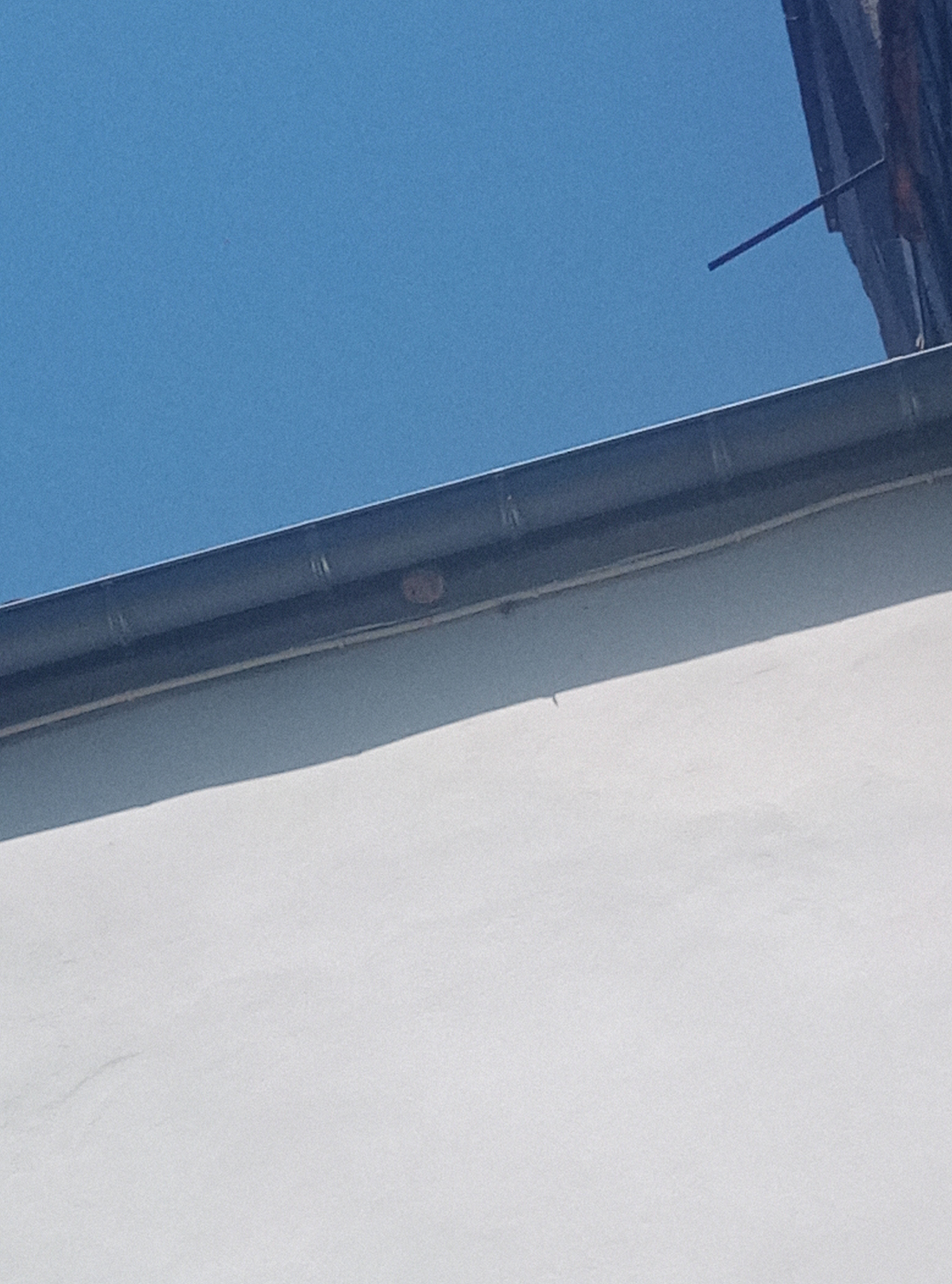Nid de frelon asiatique à Castanet-le-Haut (34) — SignalNids