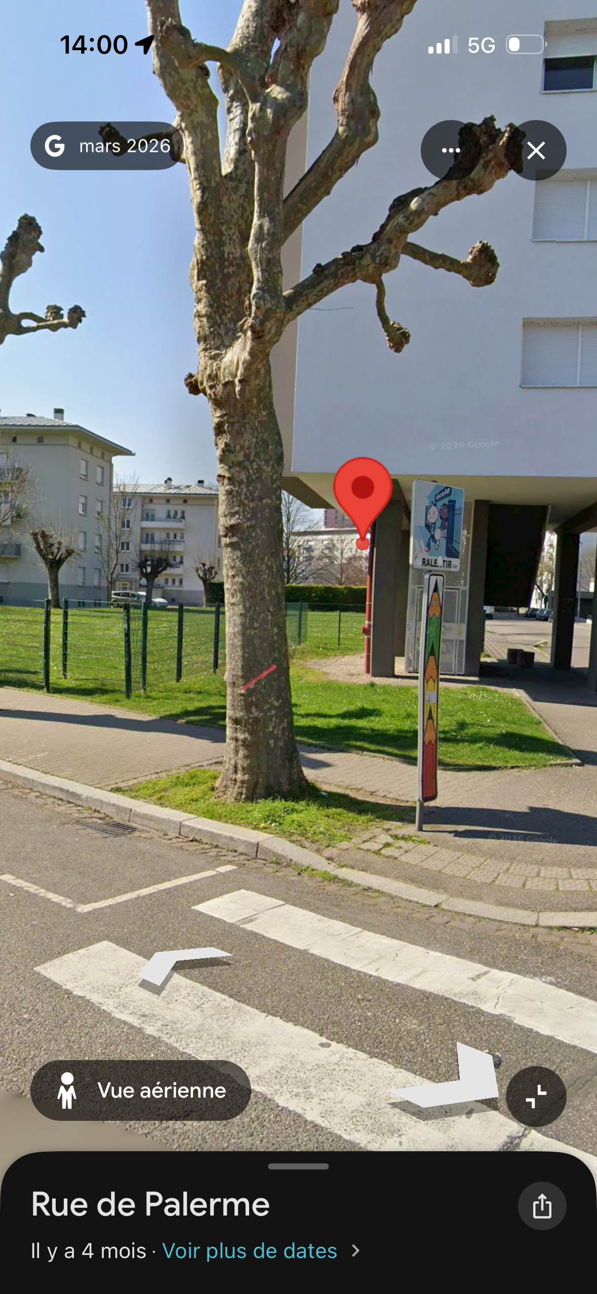 Nid de frelon asiatique à Strasbourg (67) — SignalNids