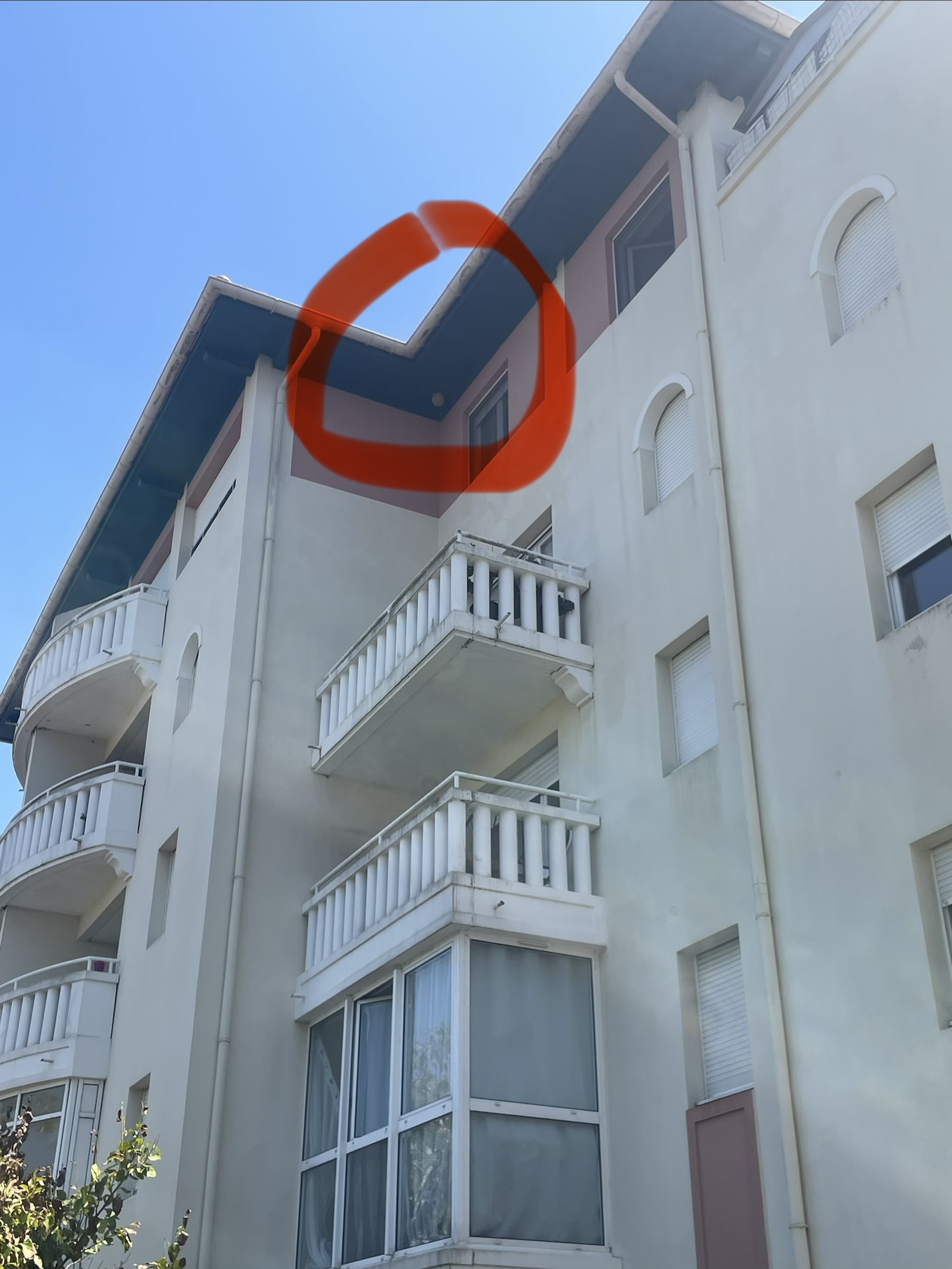 Nid / nuisance à Bayonne (64) — SignalNids