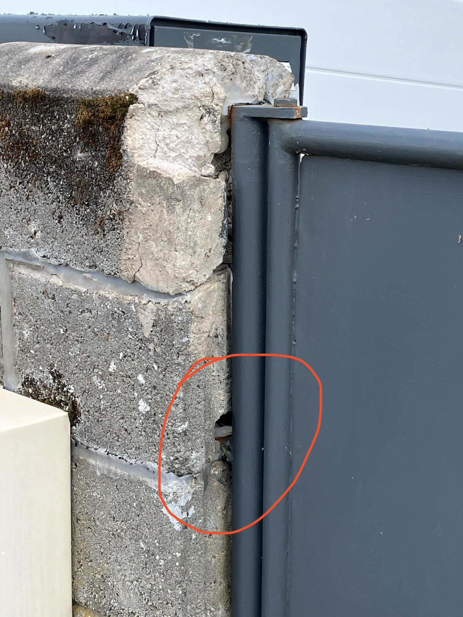 Nid de frelon asiatique à Foug (54) — SignalNids