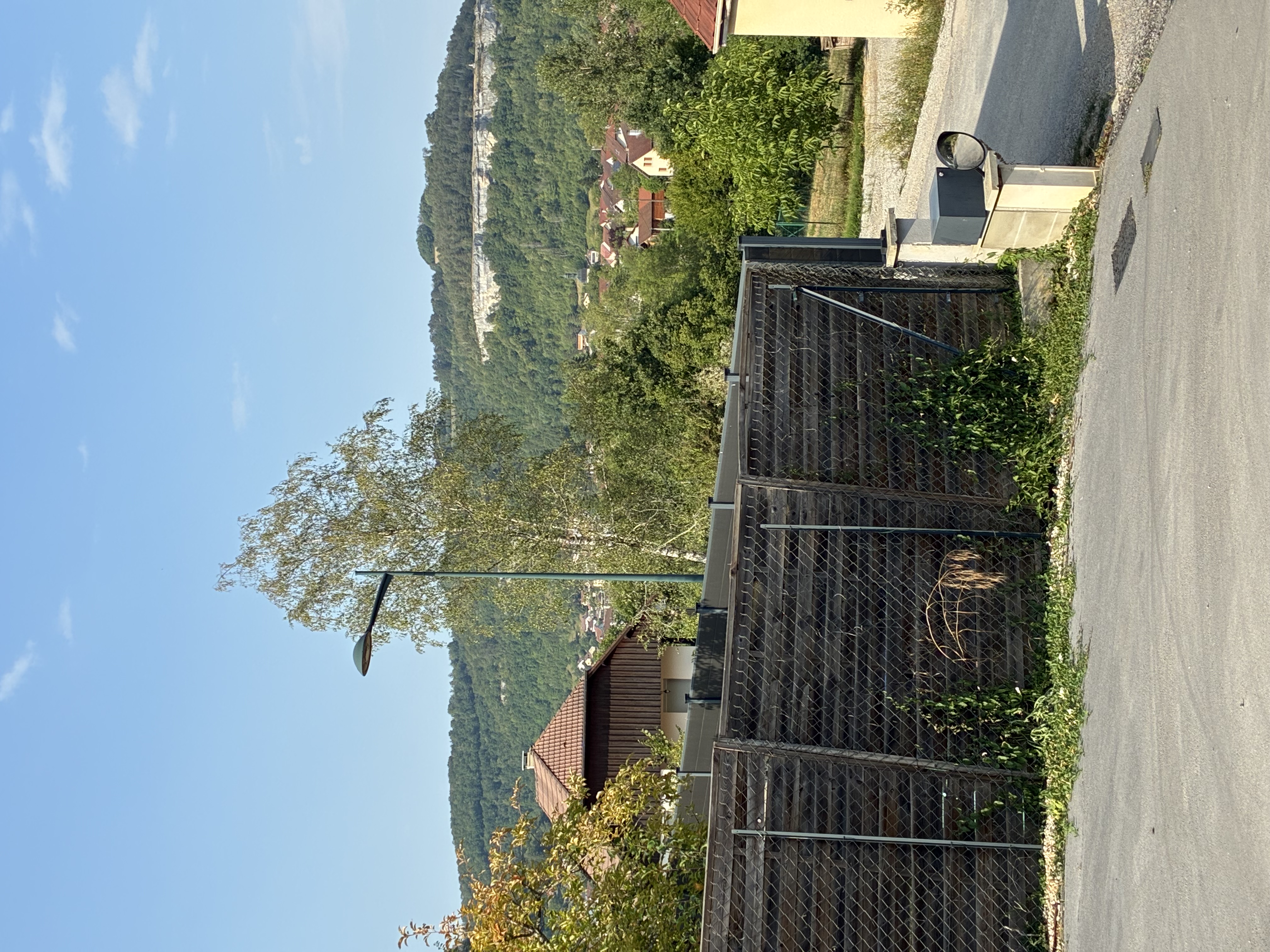 Nid de frelon asiatique à Ornans (25) — SignalNids