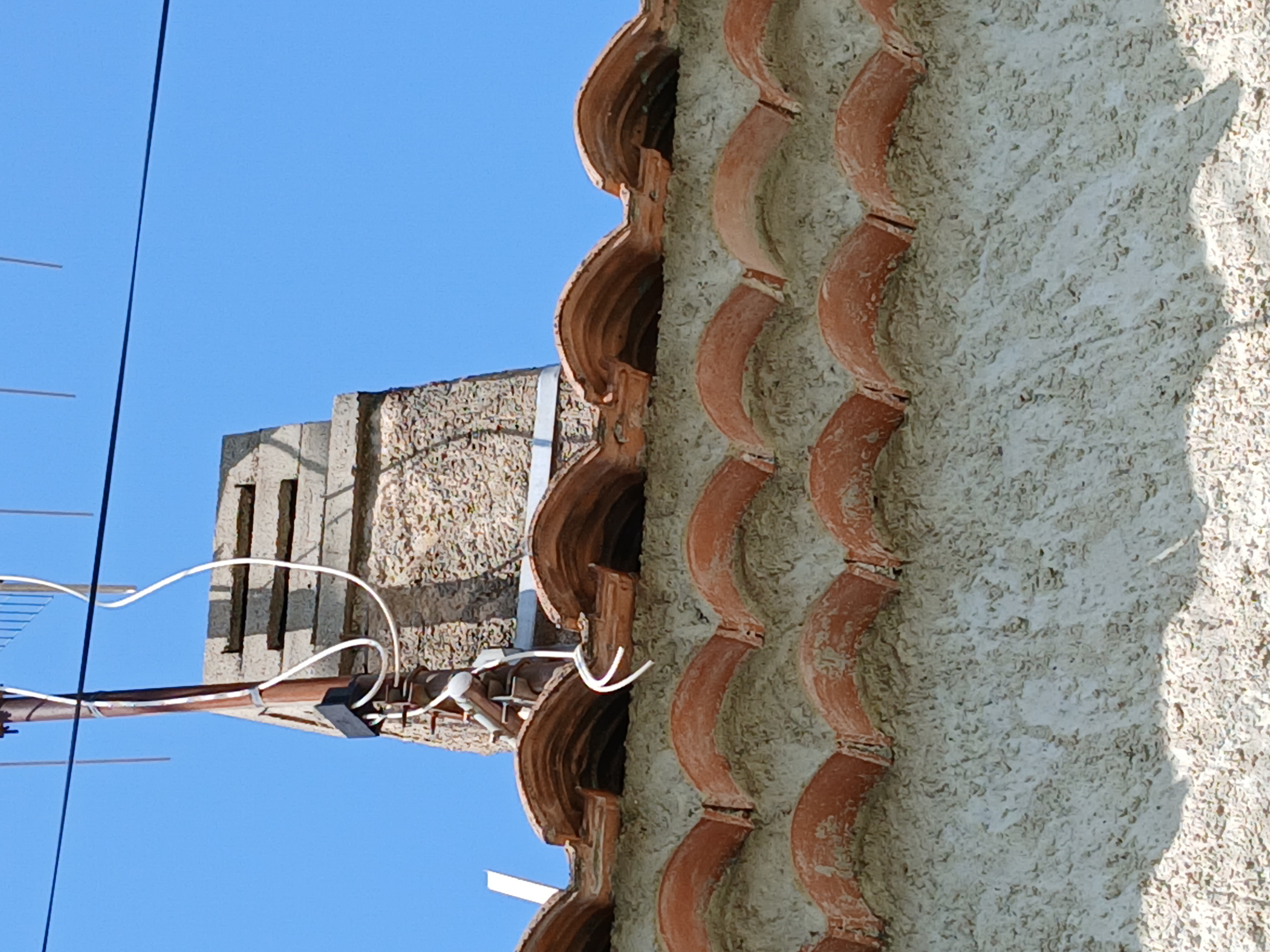 Nid de frelon asiatique à Manosque (04) — SignalNids
