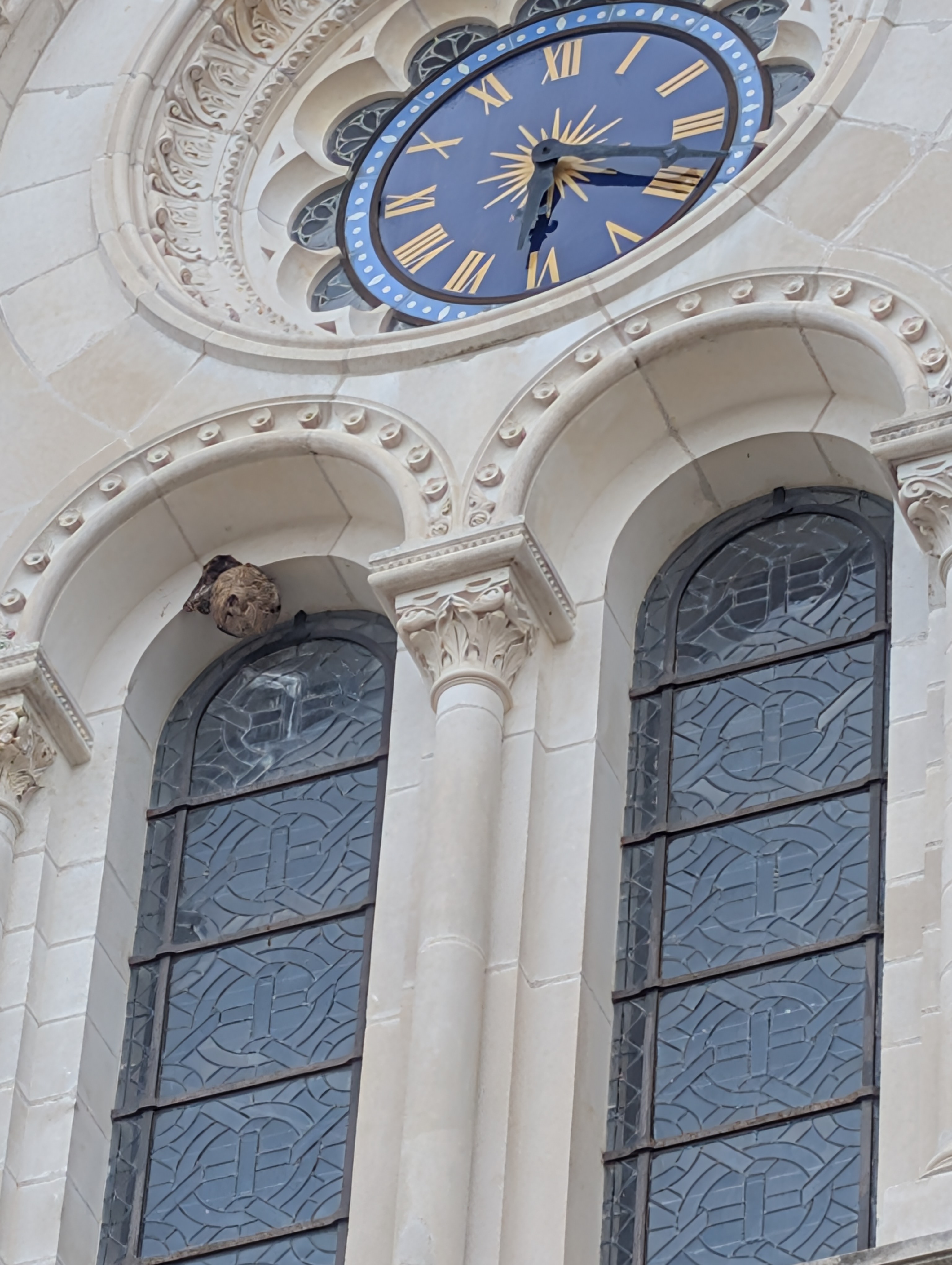 Nid de frelon asiatique à Nantes (44) — SignalNids
