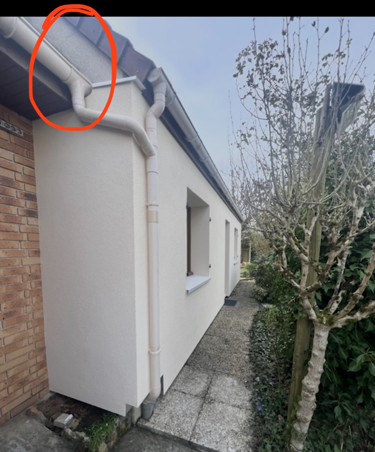 Nid / nuisance à Faremoutiers (77) — SignalNids