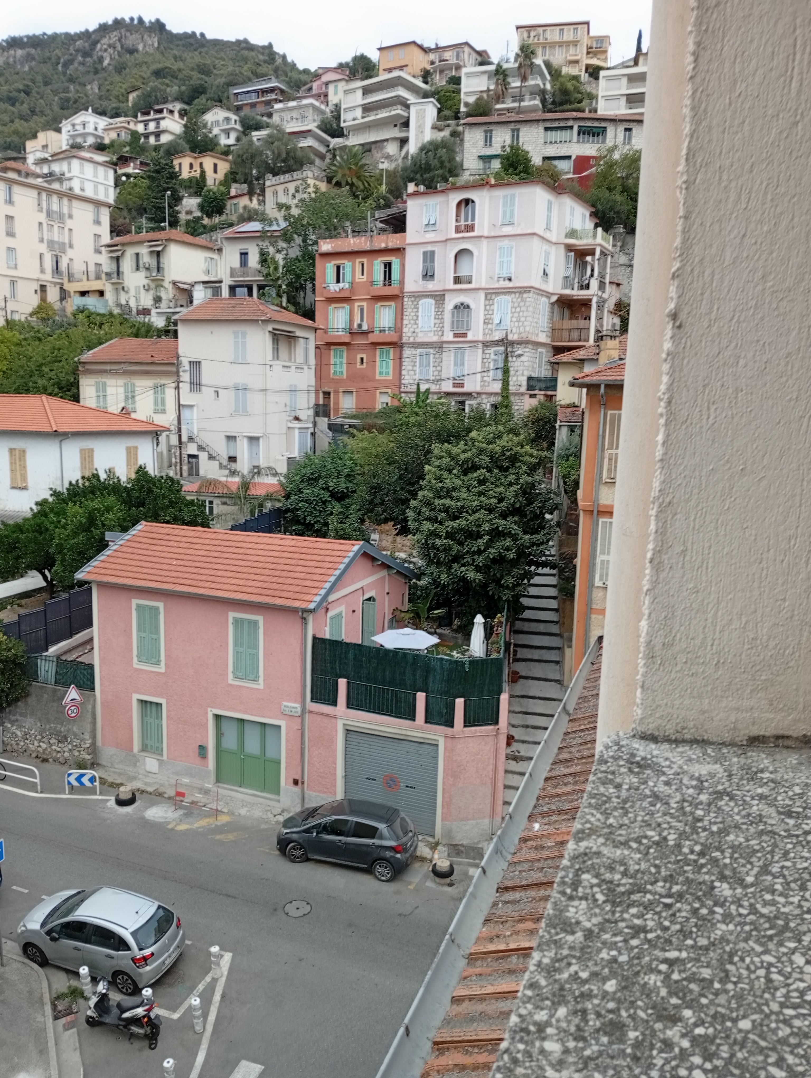 Nid de frelon asiatique à Nice (06) — SignalNids