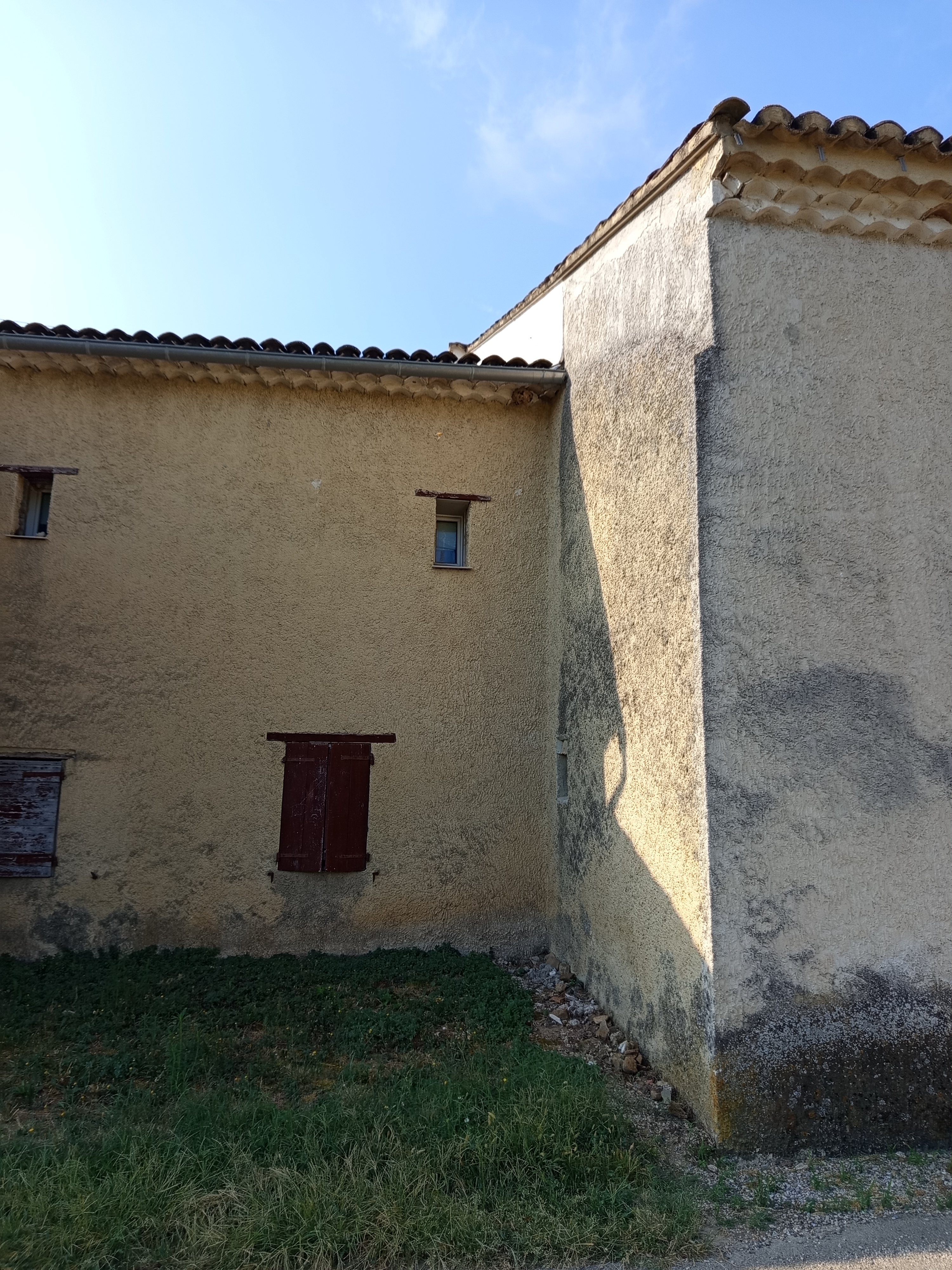 Nid de frelon asiatique à Orange (84) — SignalNids