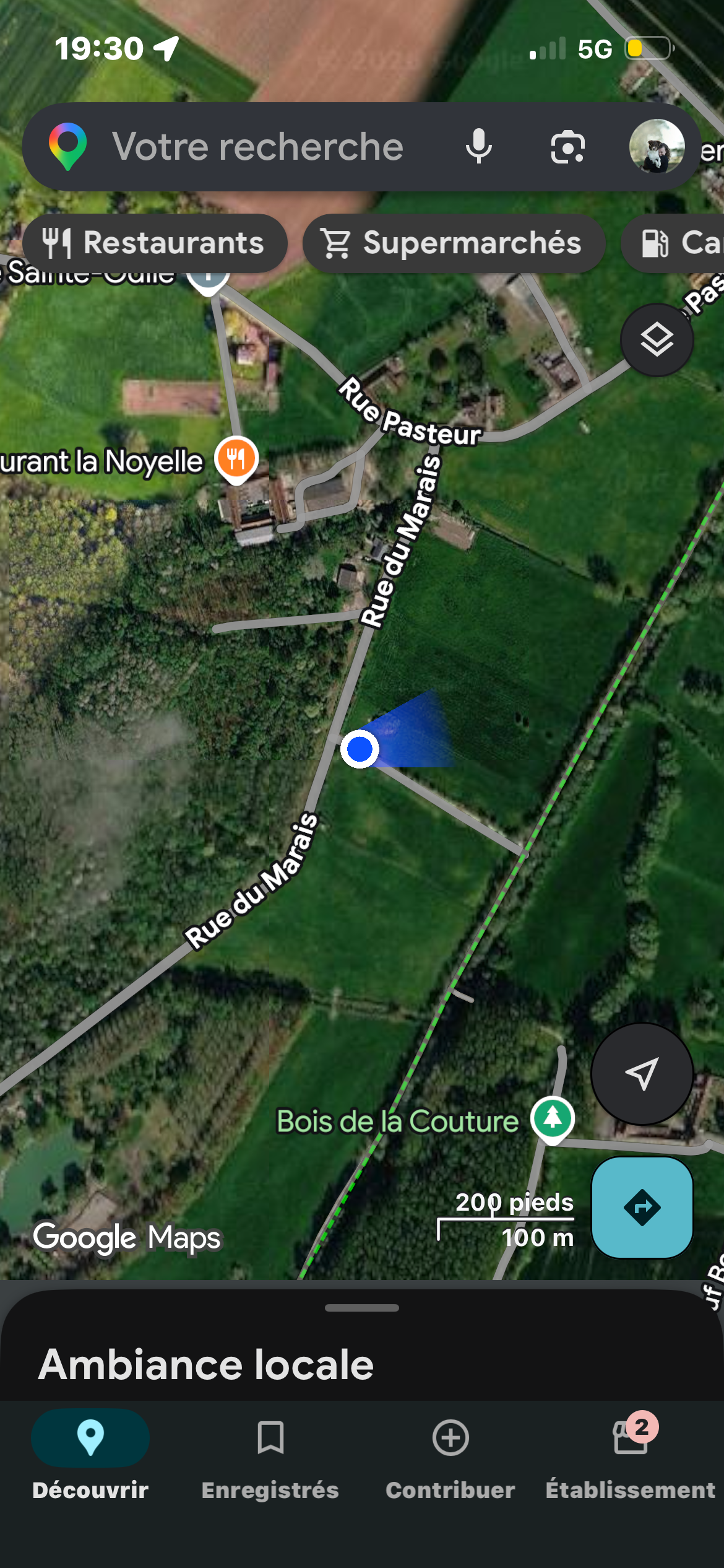 Nid de frelon asiatique à Sainghin-en-Mélantois (59) — SignalNids