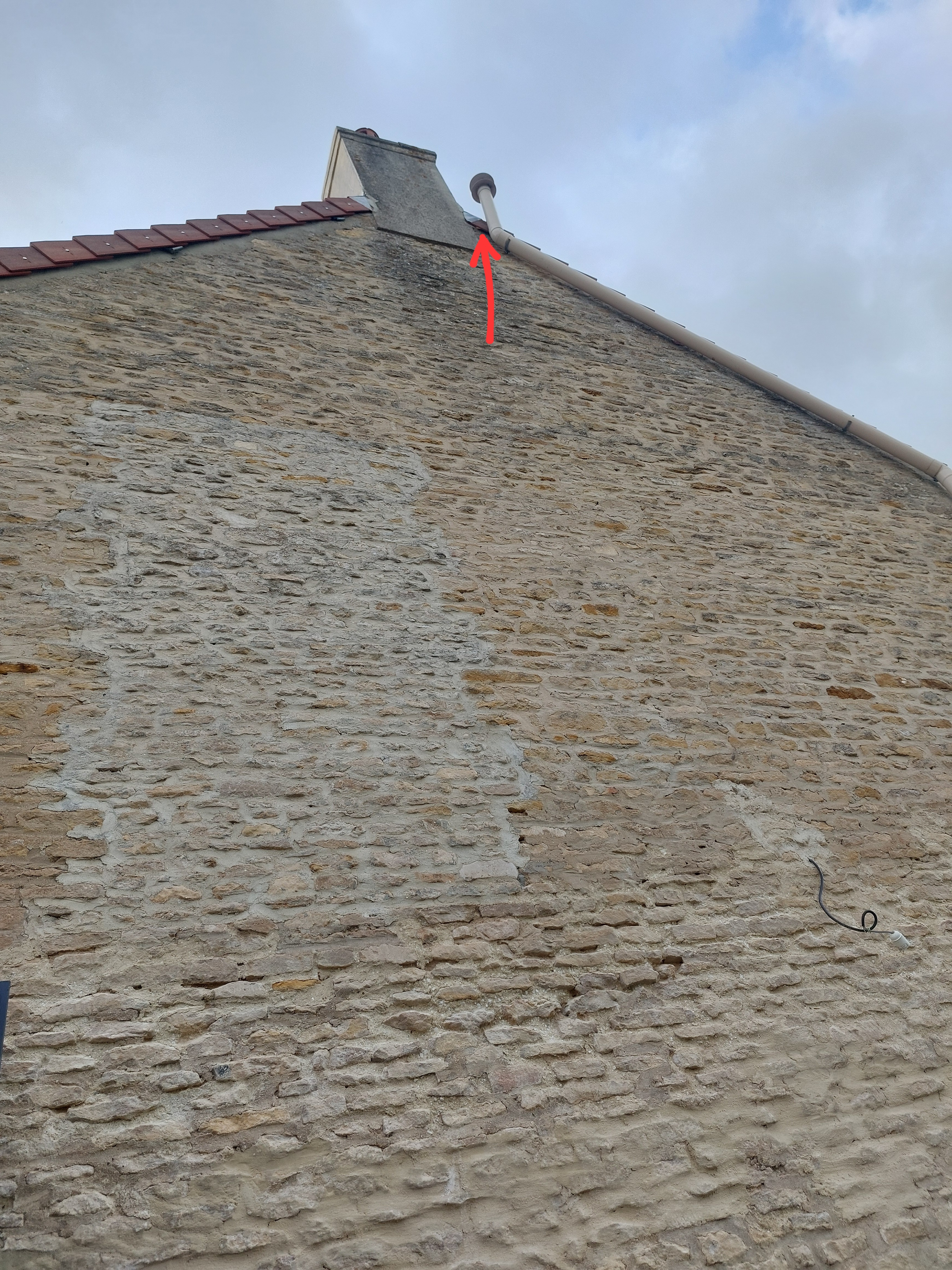 Nid de frelon asiatique à Moult-Chicheboville (14) — SignalNids