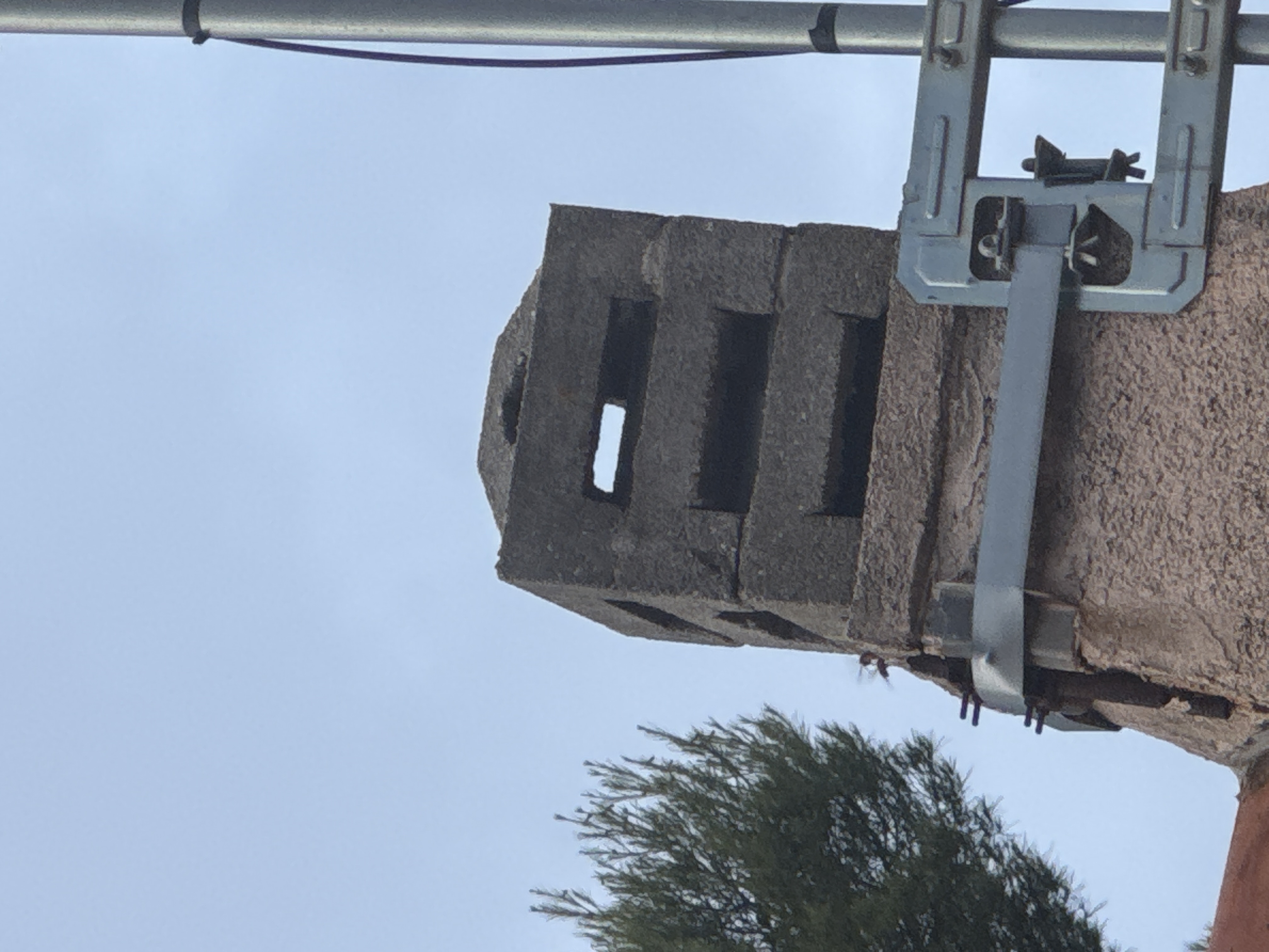 Nid de frelon européen à Bandol (83) — SignalNids