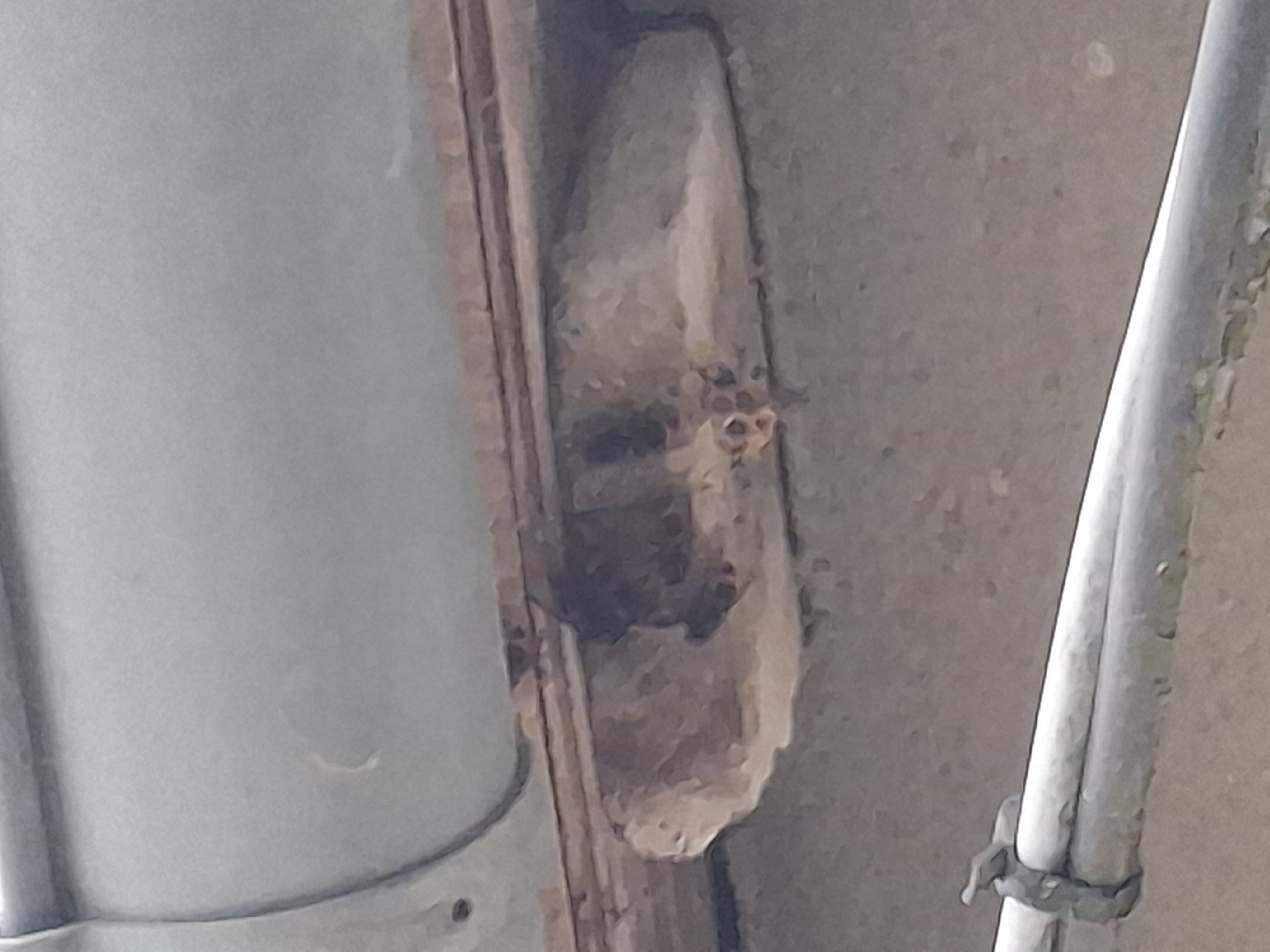 Nid de frelon asiatique à Vicq-sur-Gartempe (86) — SignalNids