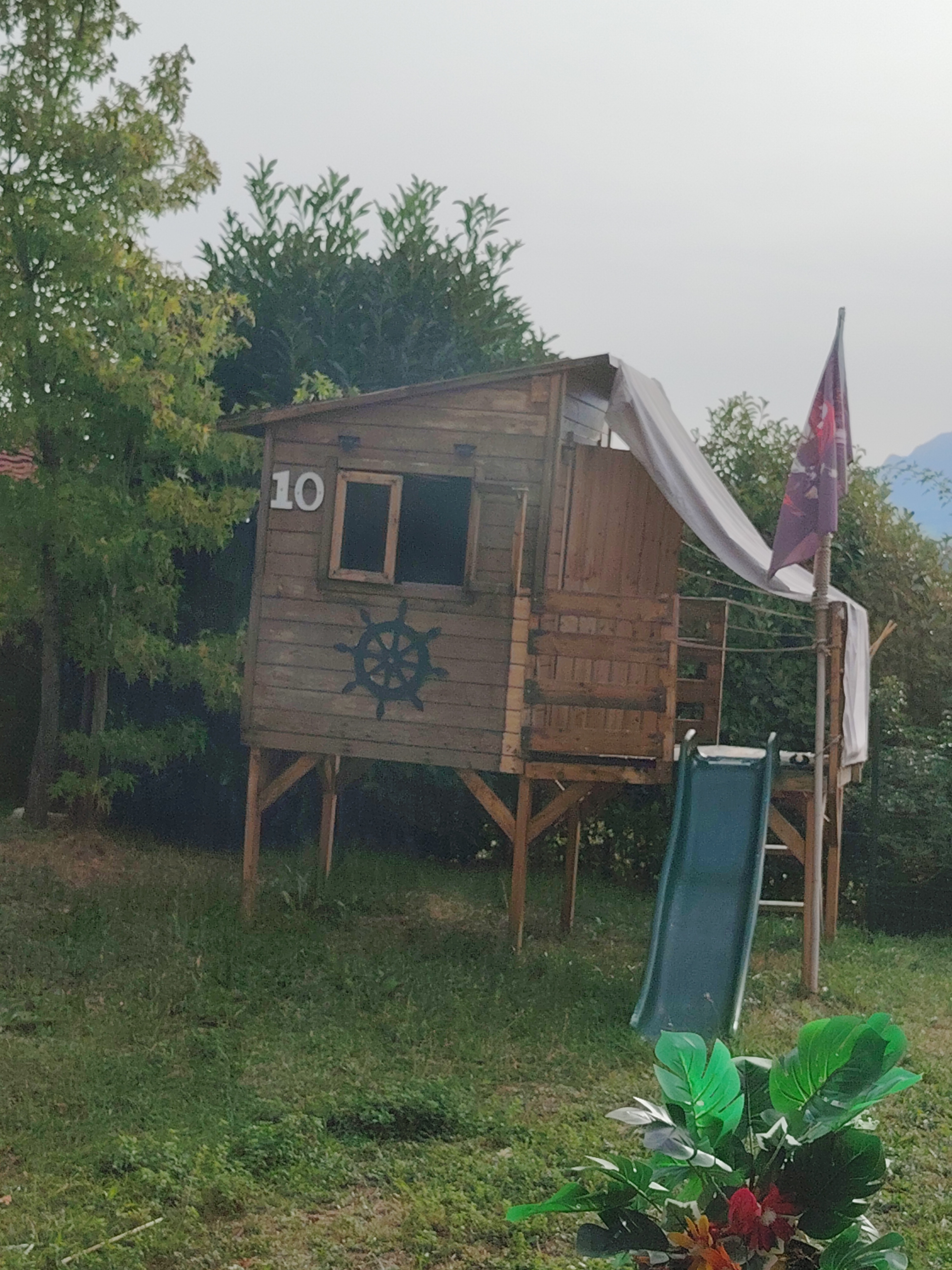 Nid / nuisance à Allonzier-la-Caille (74) — SignalNids