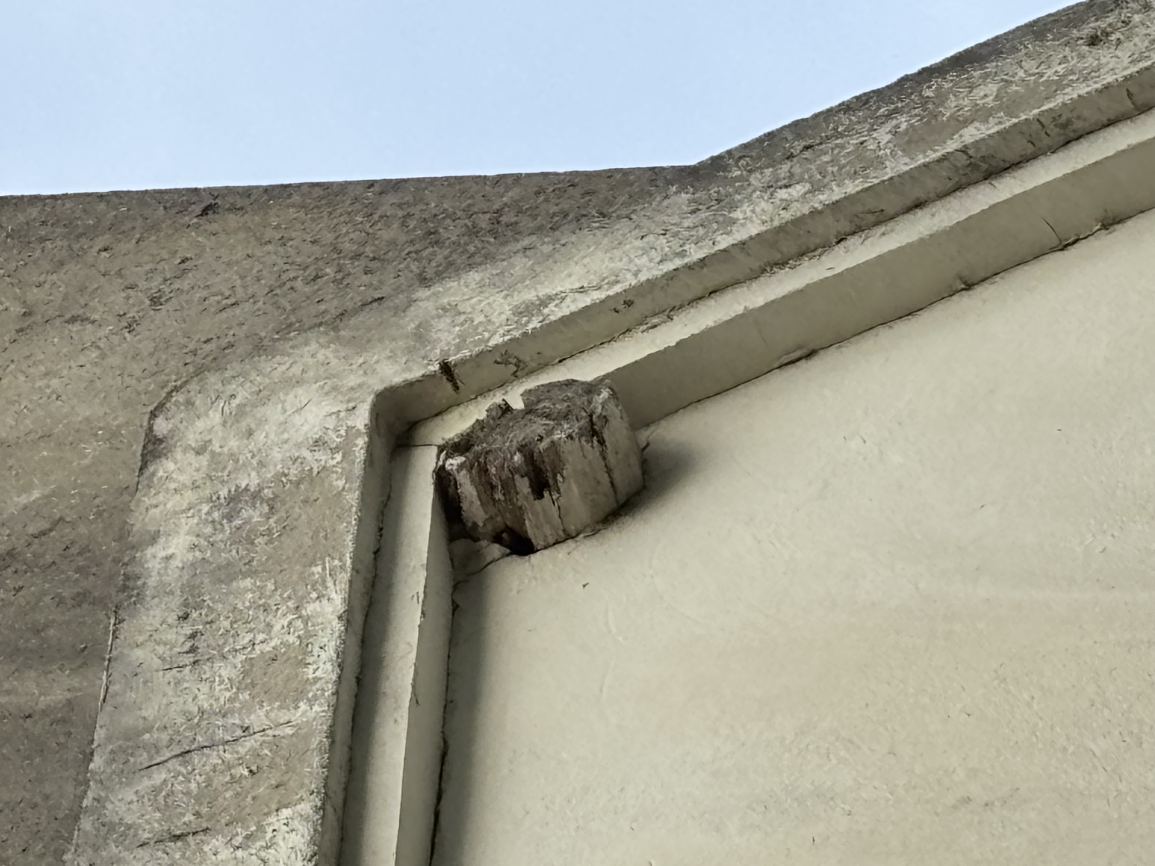 Nid de frelon européen à Moussy-le-Neuf (77) — SignalNids