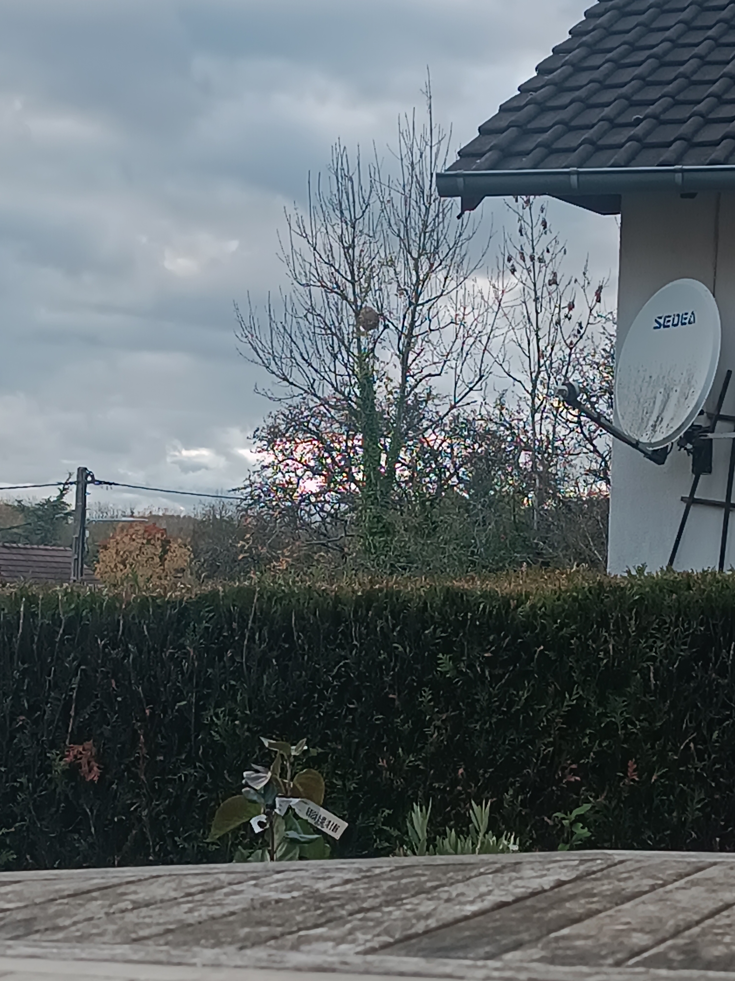 Photo supplémentaire du signalement #373