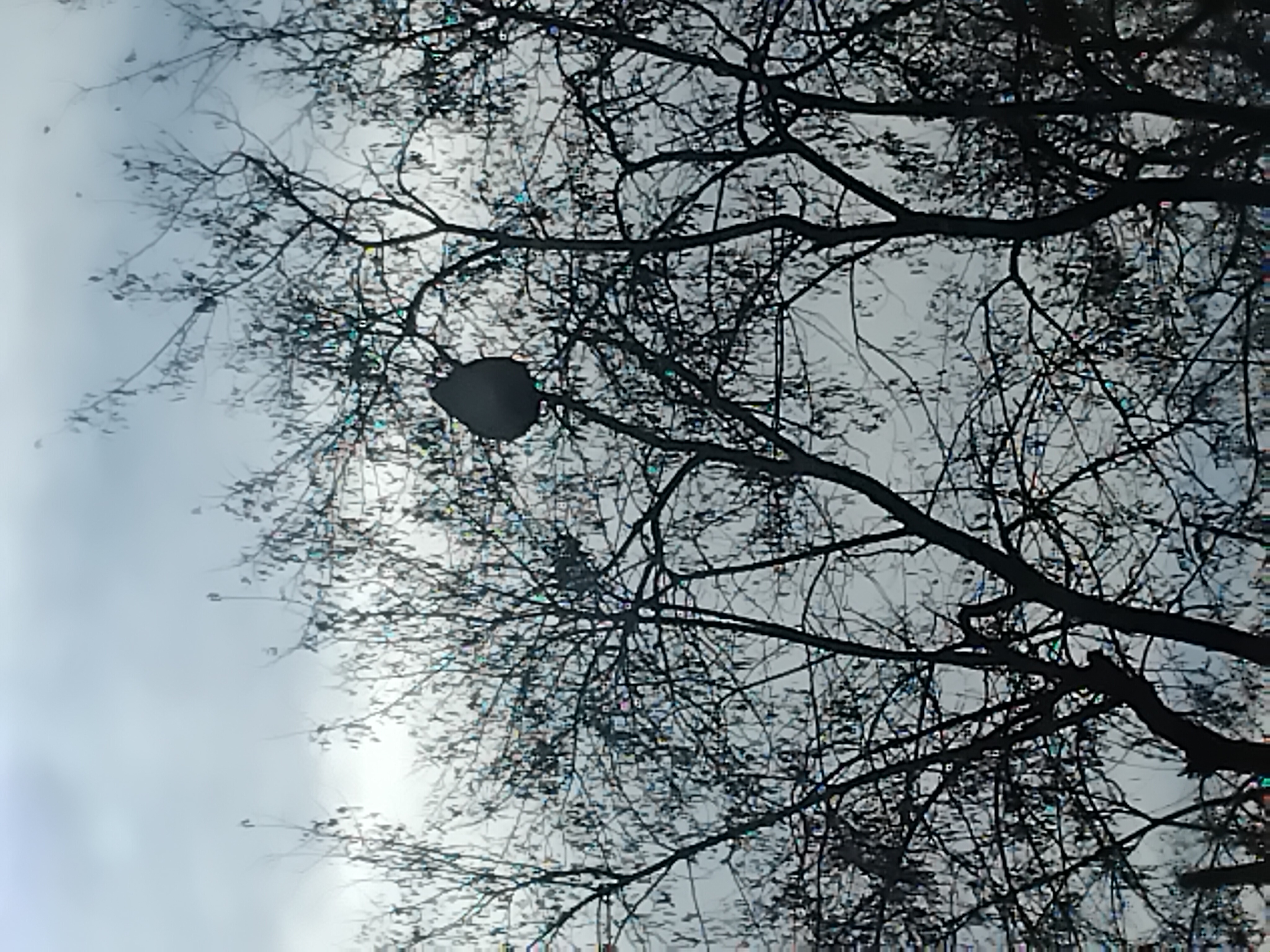 Photo supplémentaire du signalement #389