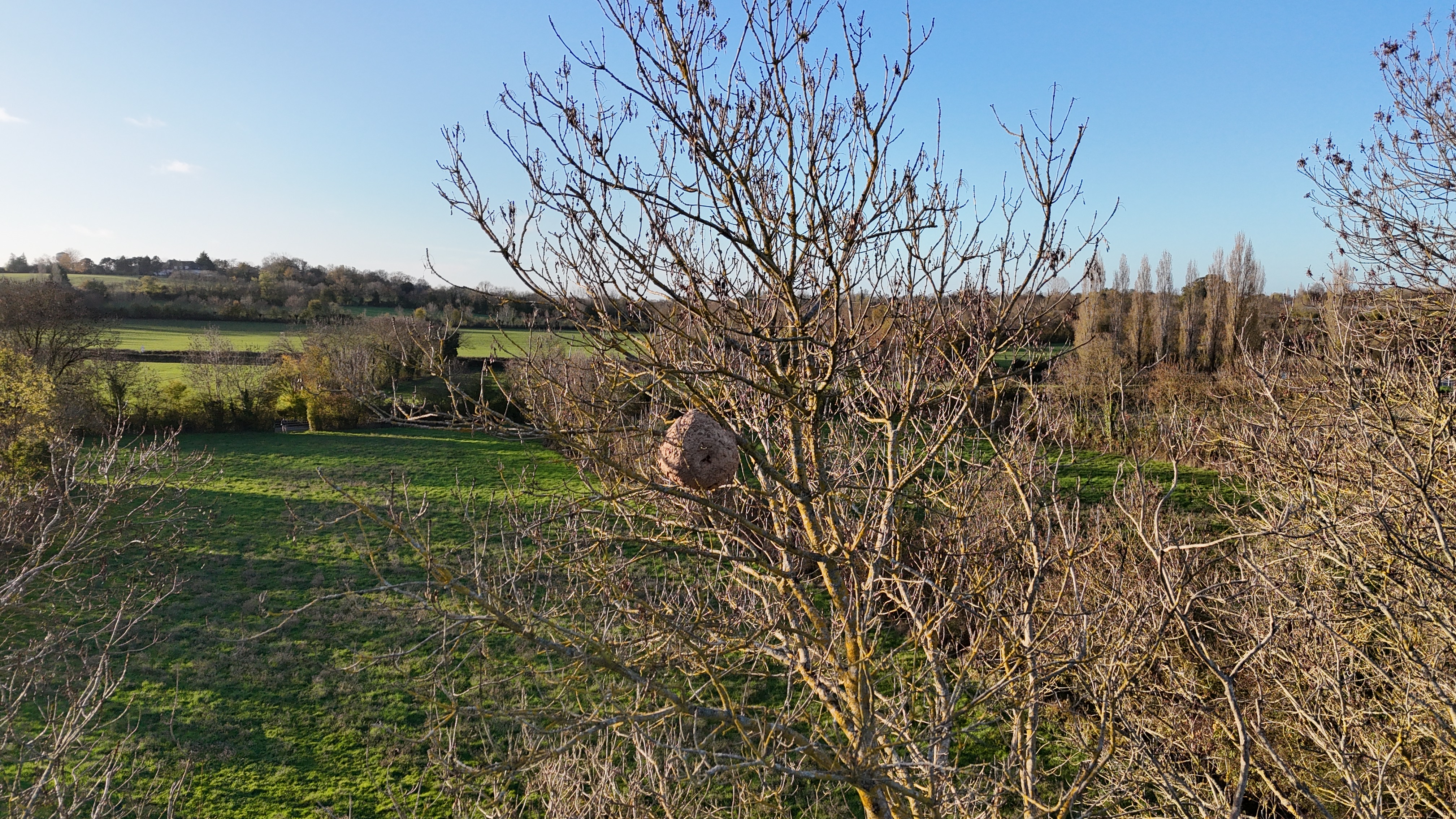 Photo supplémentaire du signalement #474