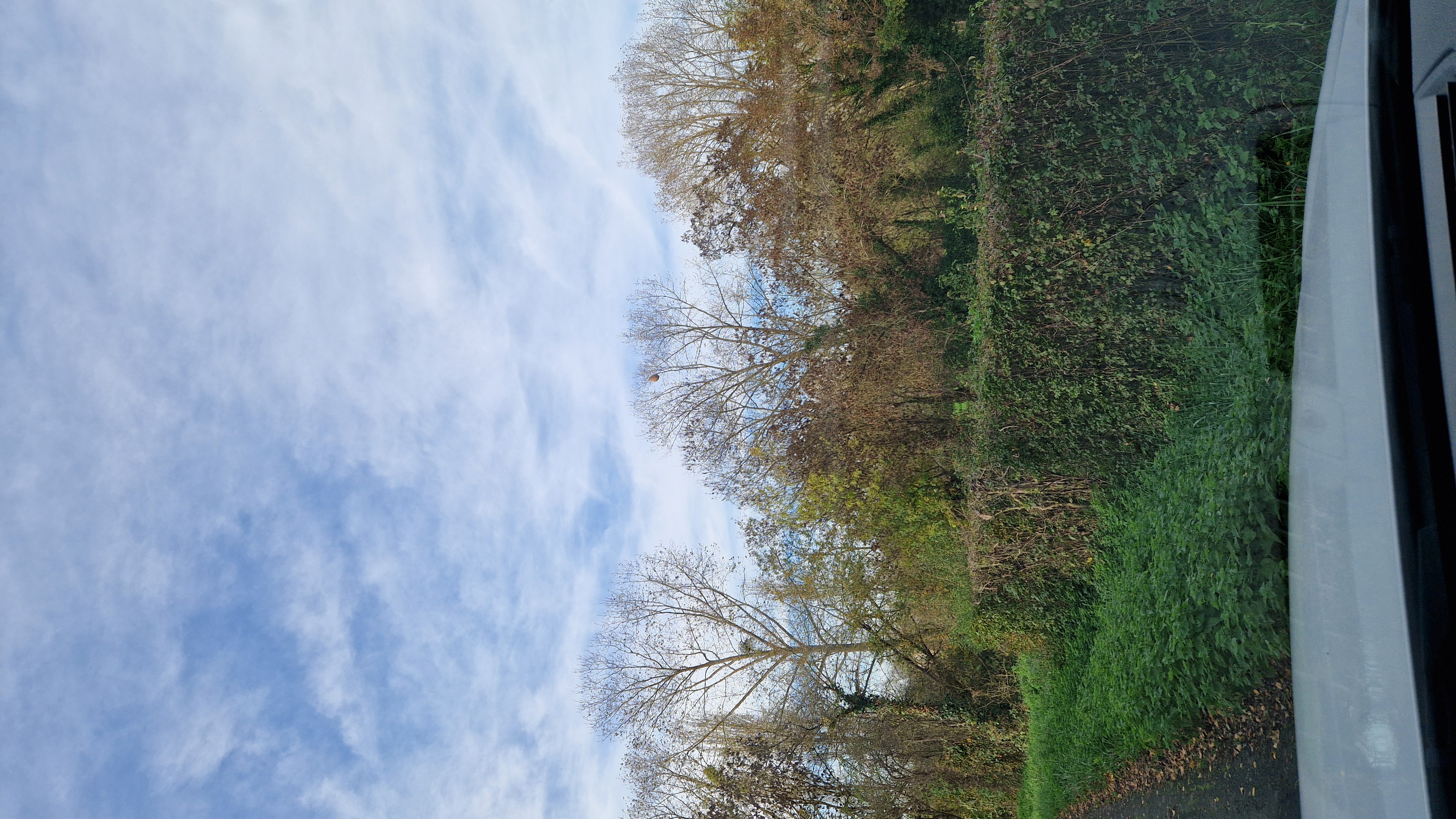 Photo supplémentaire du signalement #476