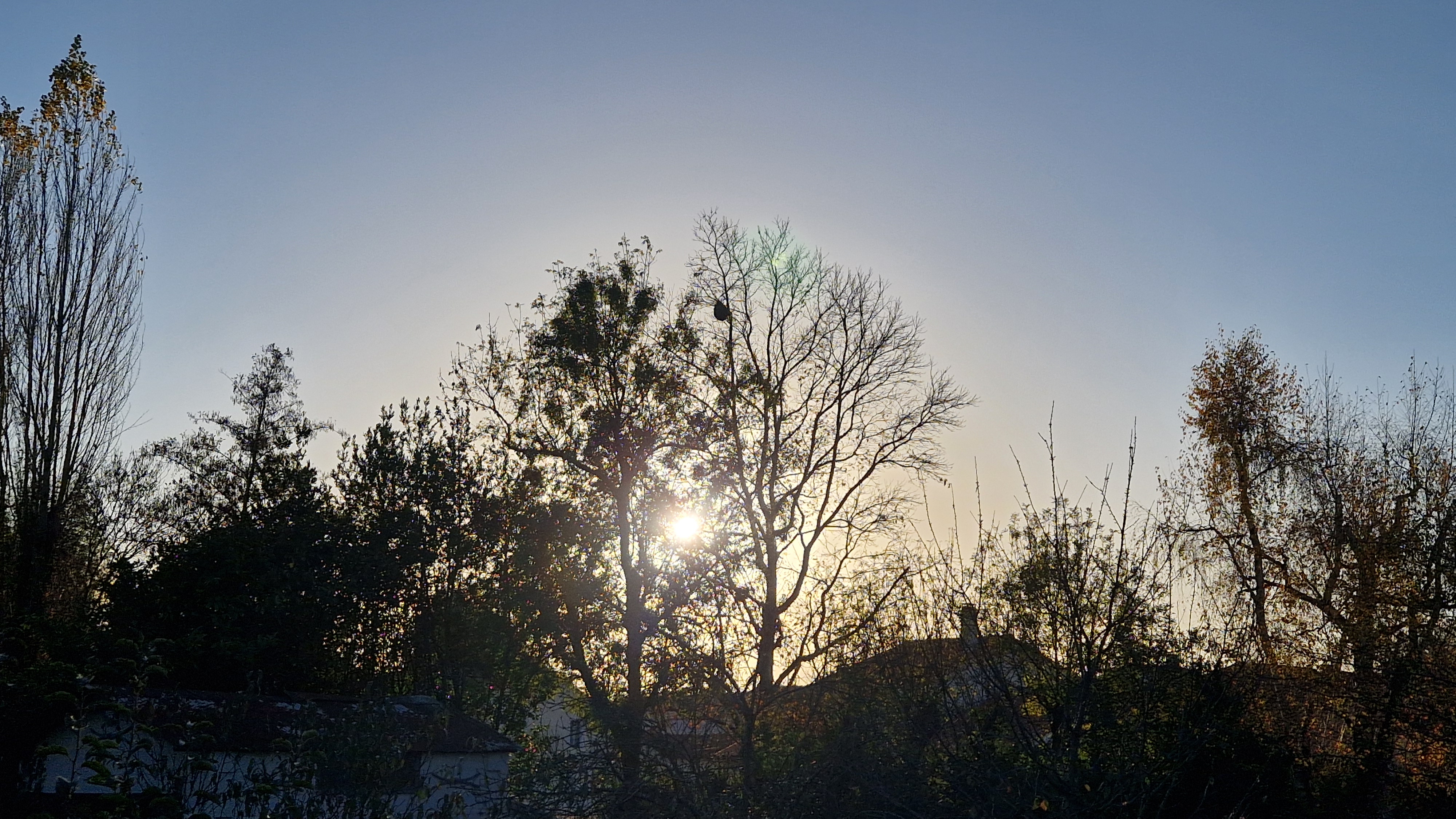 Photo supplémentaire du signalement #477