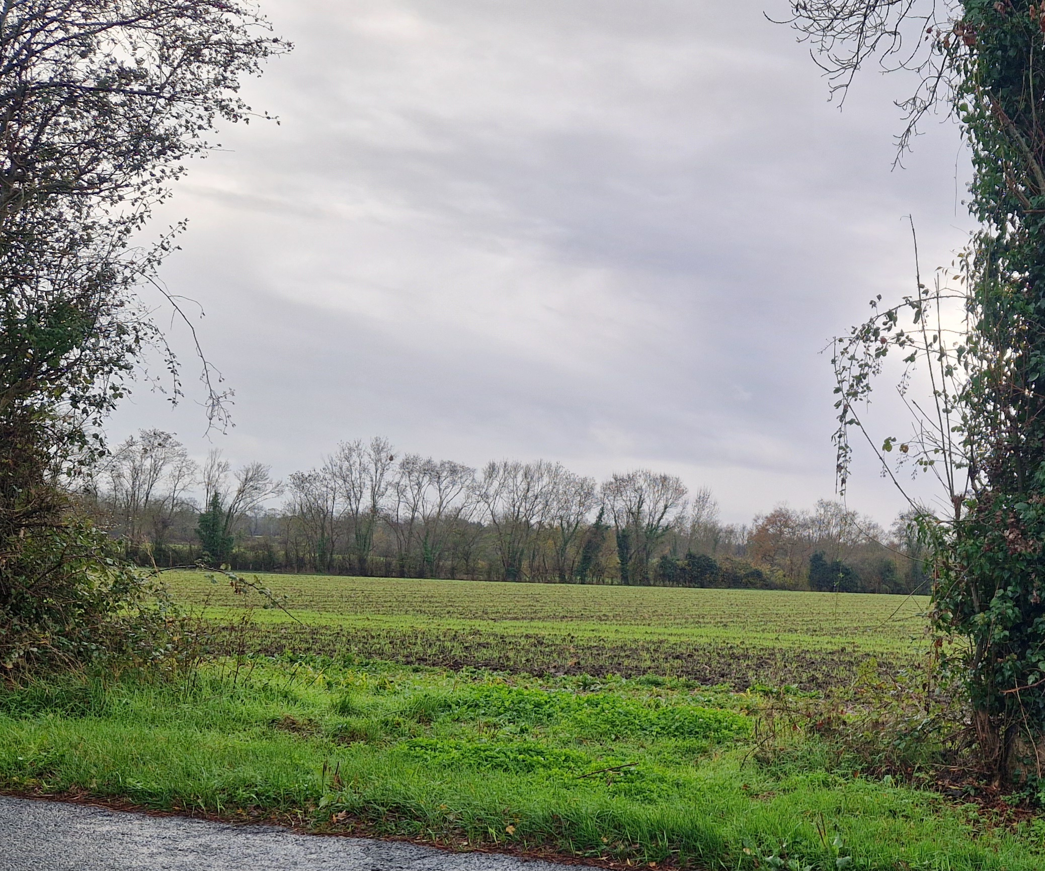 Photo supplémentaire du signalement #489