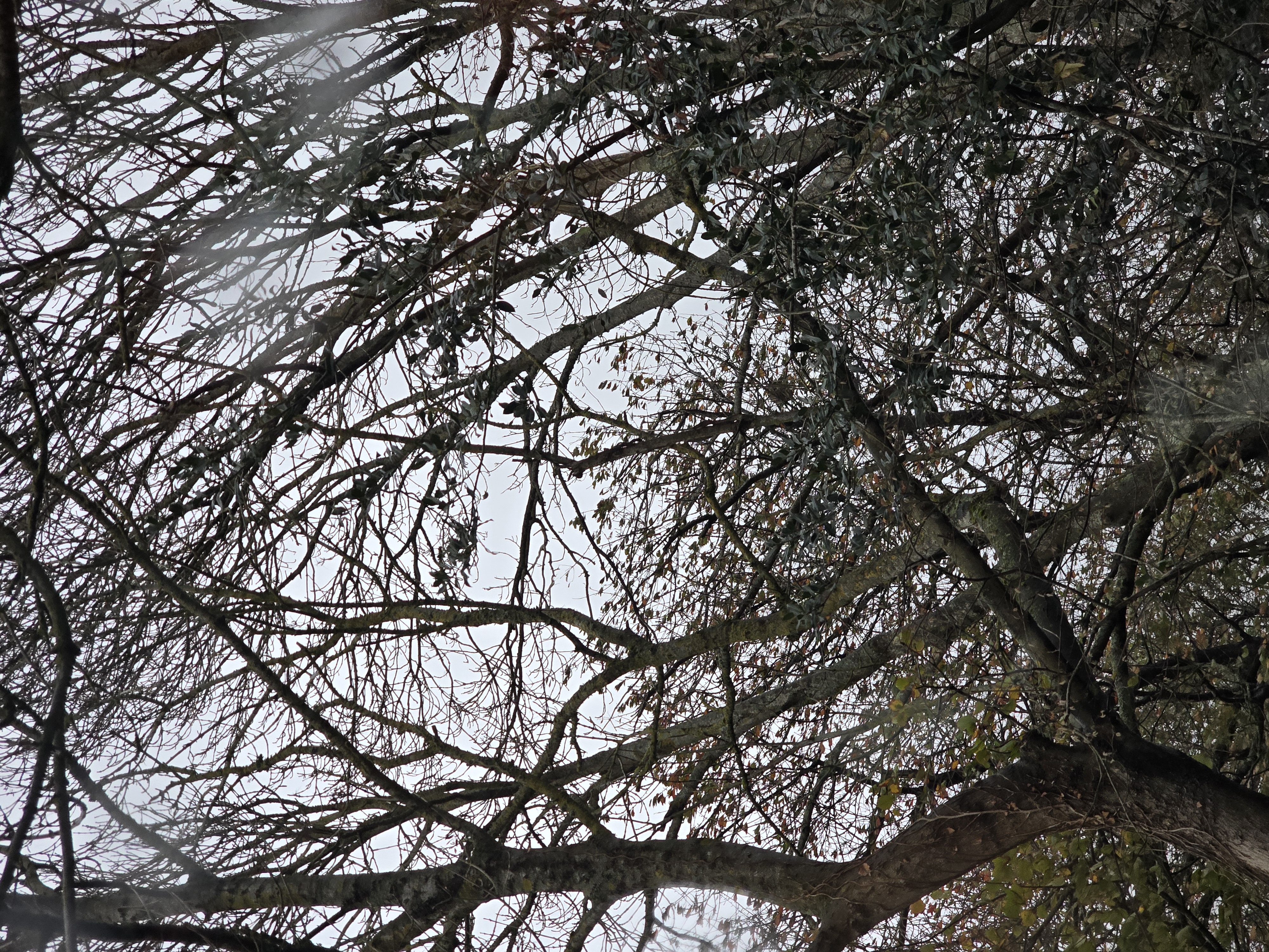 Photo supplémentaire du signalement #503