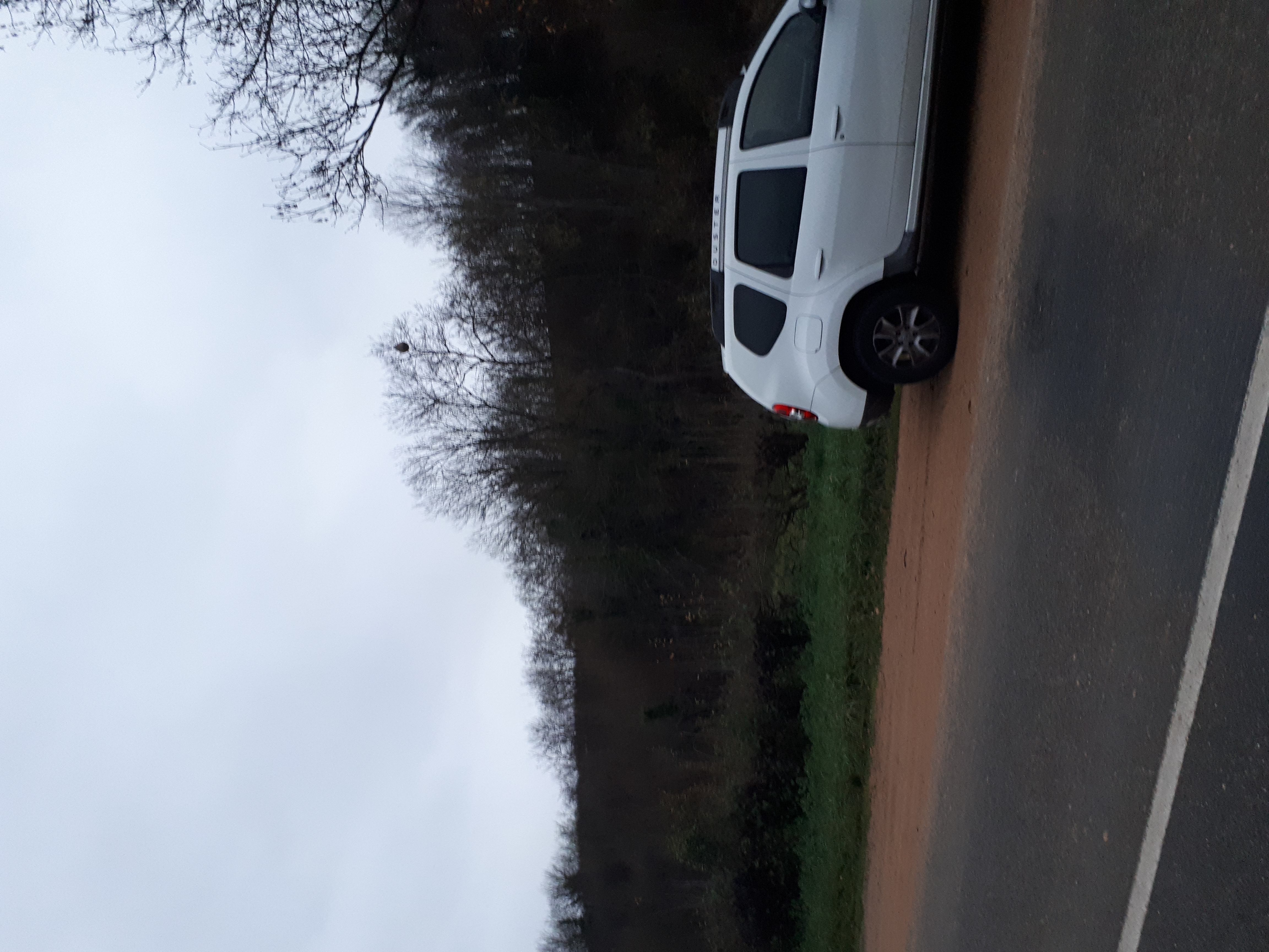 Photo supplémentaire du signalement #526