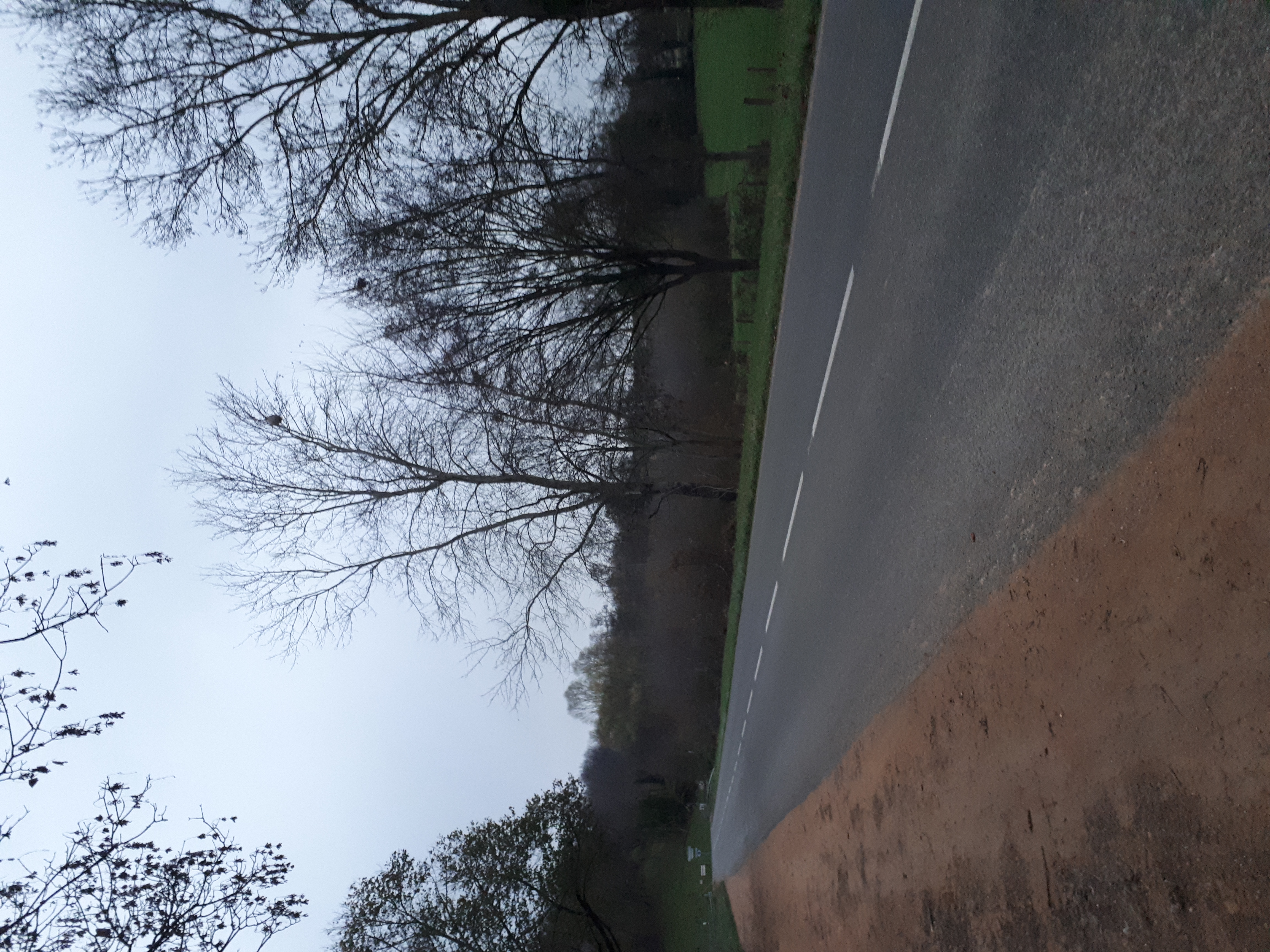 Photo supplémentaire du signalement #527