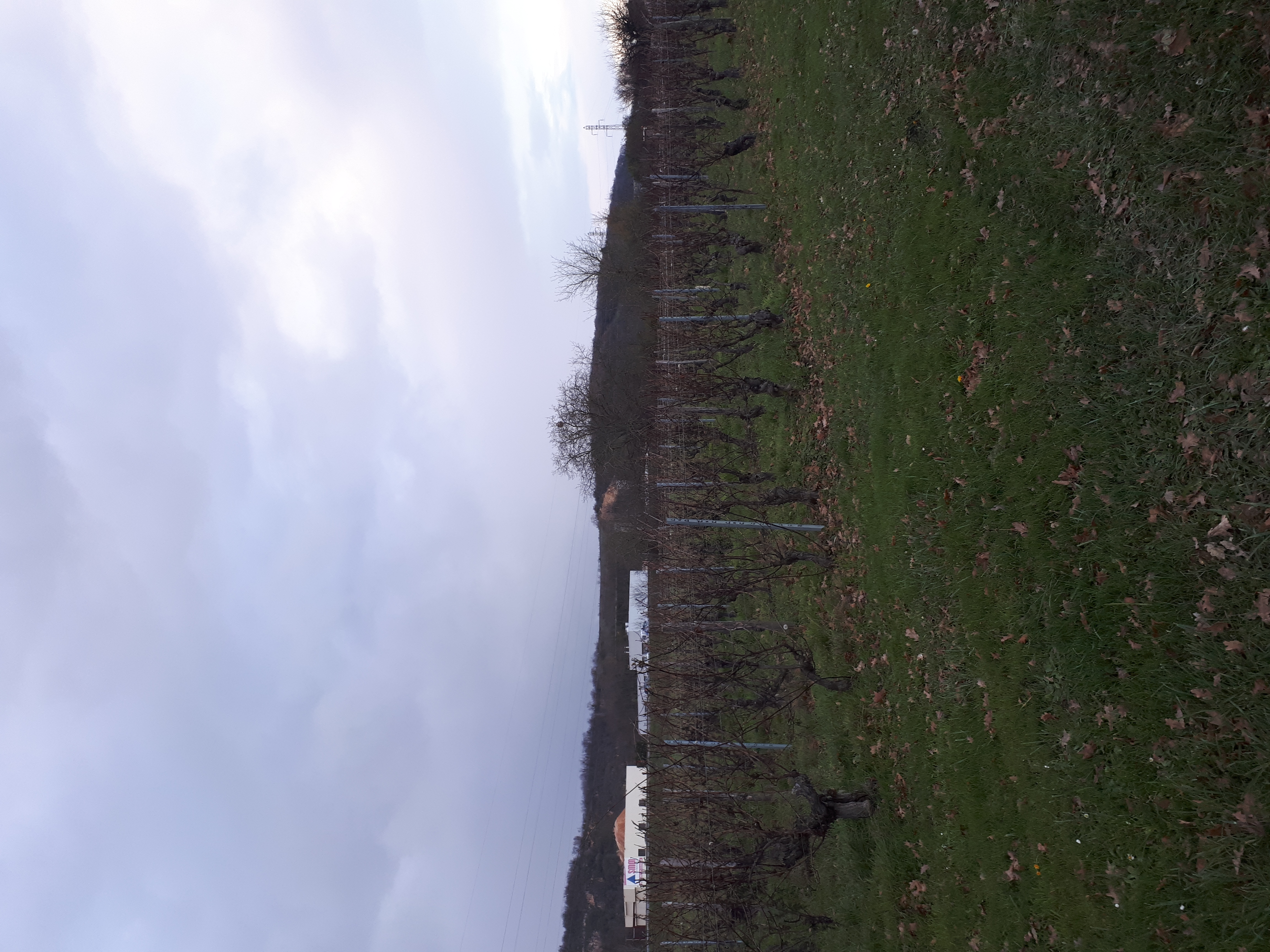 Photo supplémentaire du signalement #541