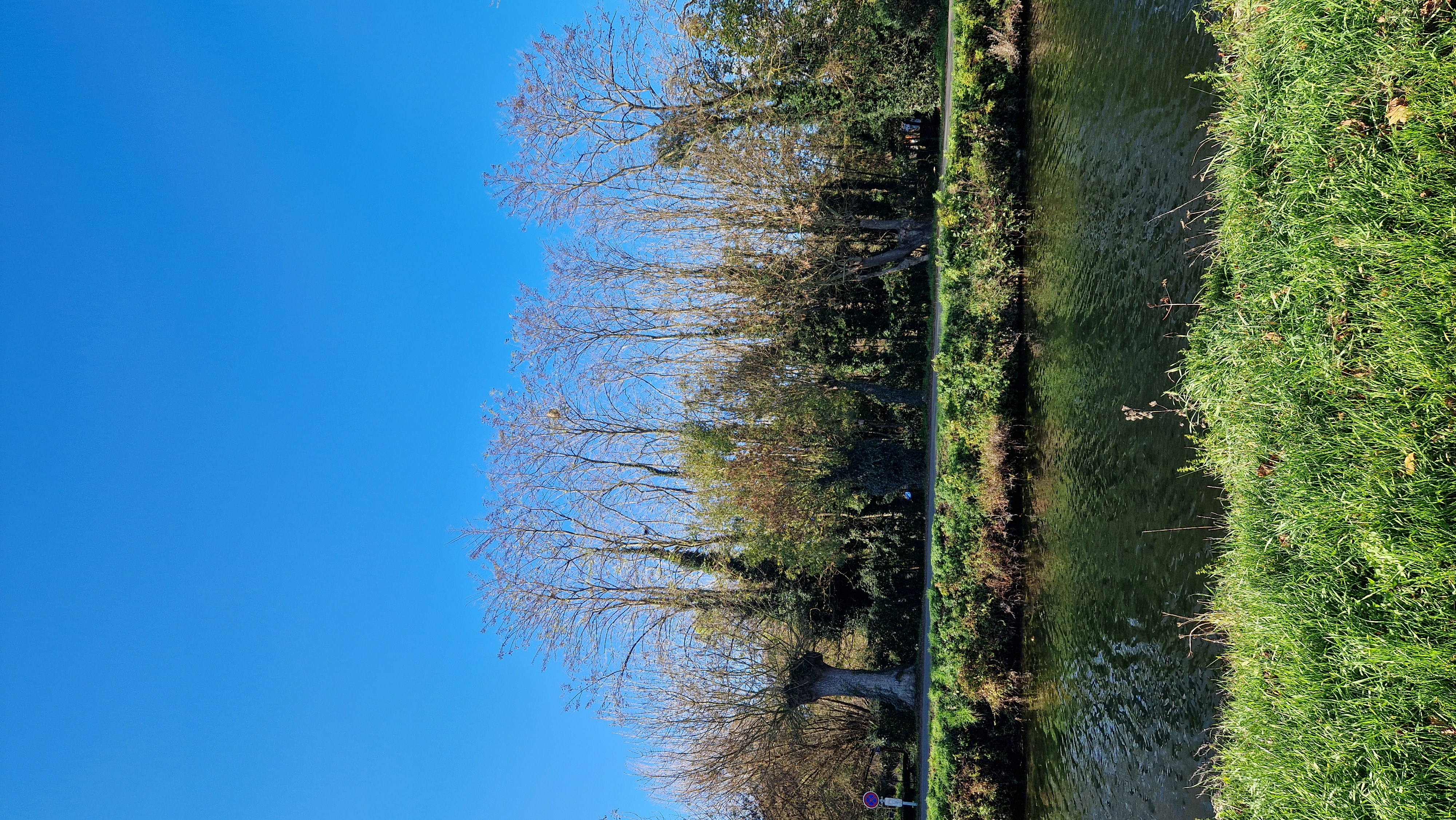 Photo supplémentaire du signalement #548