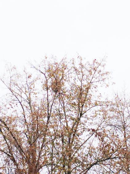 Photo supplémentaire du signalement #567