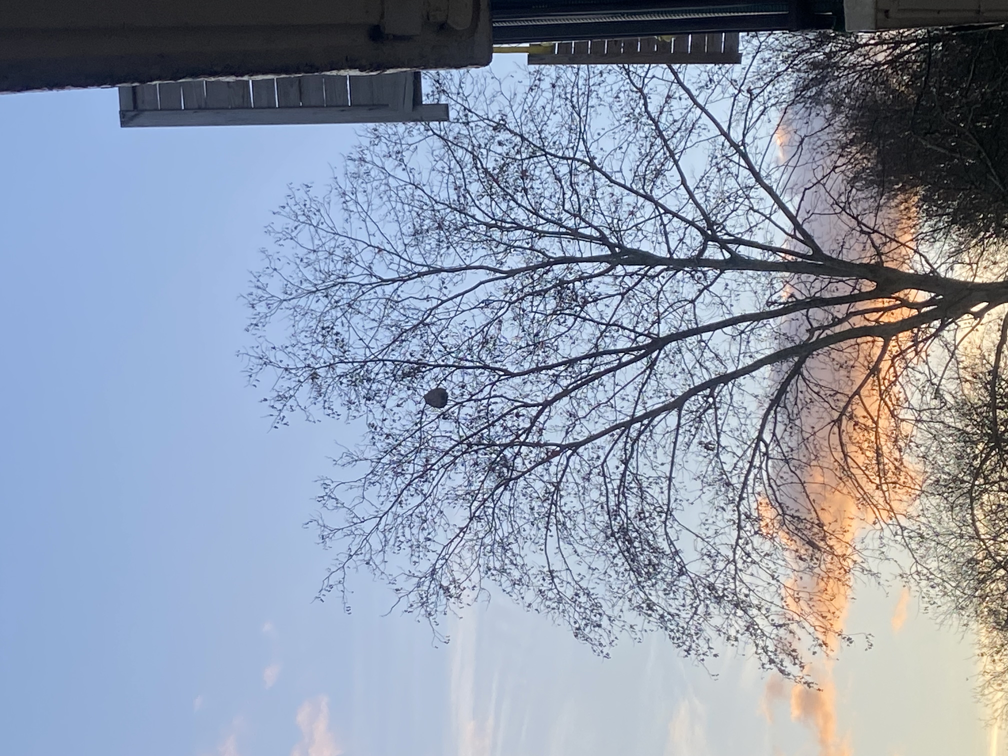 Photo supplémentaire du signalement #614