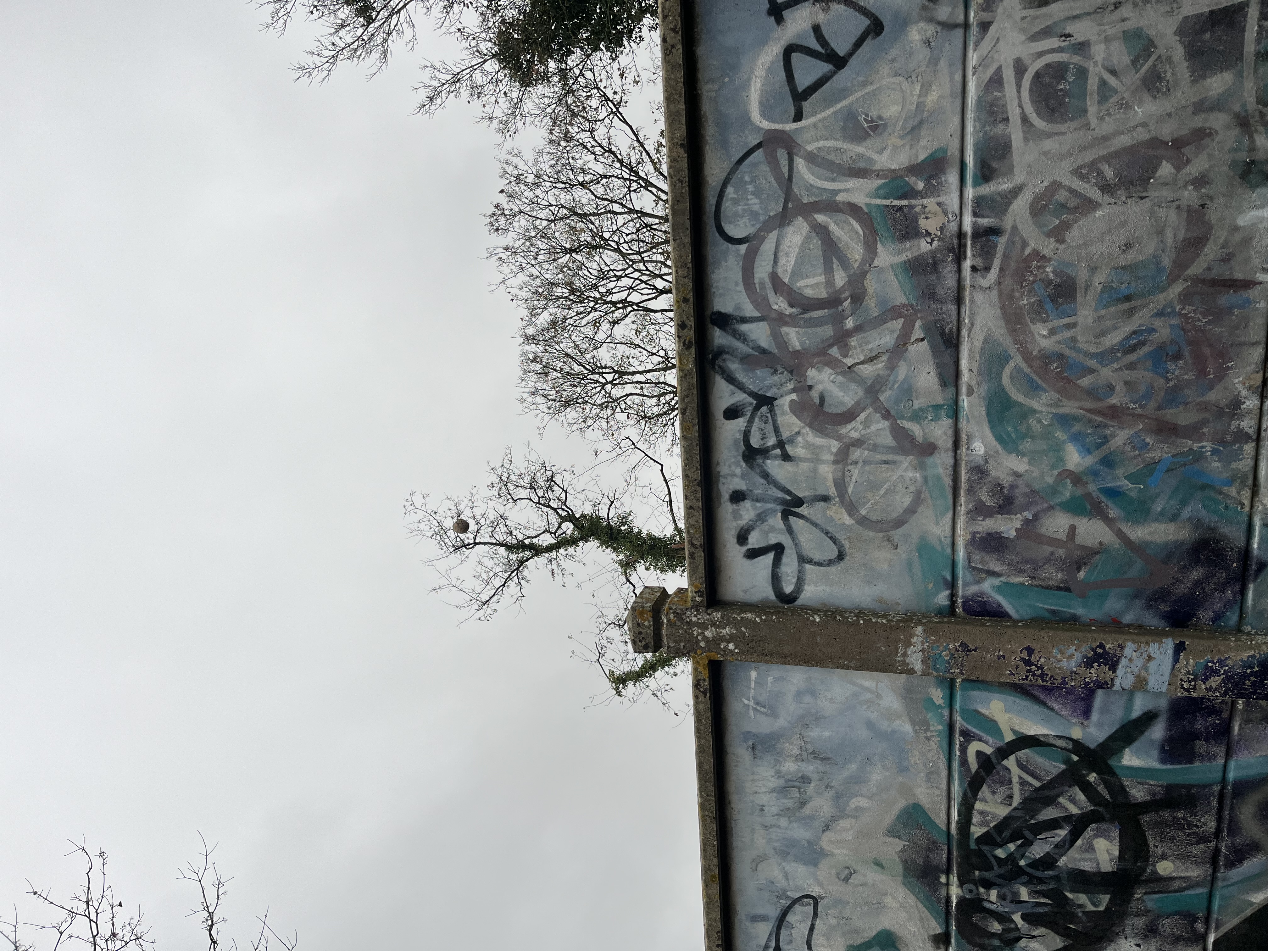 Photo supplémentaire du signalement #620