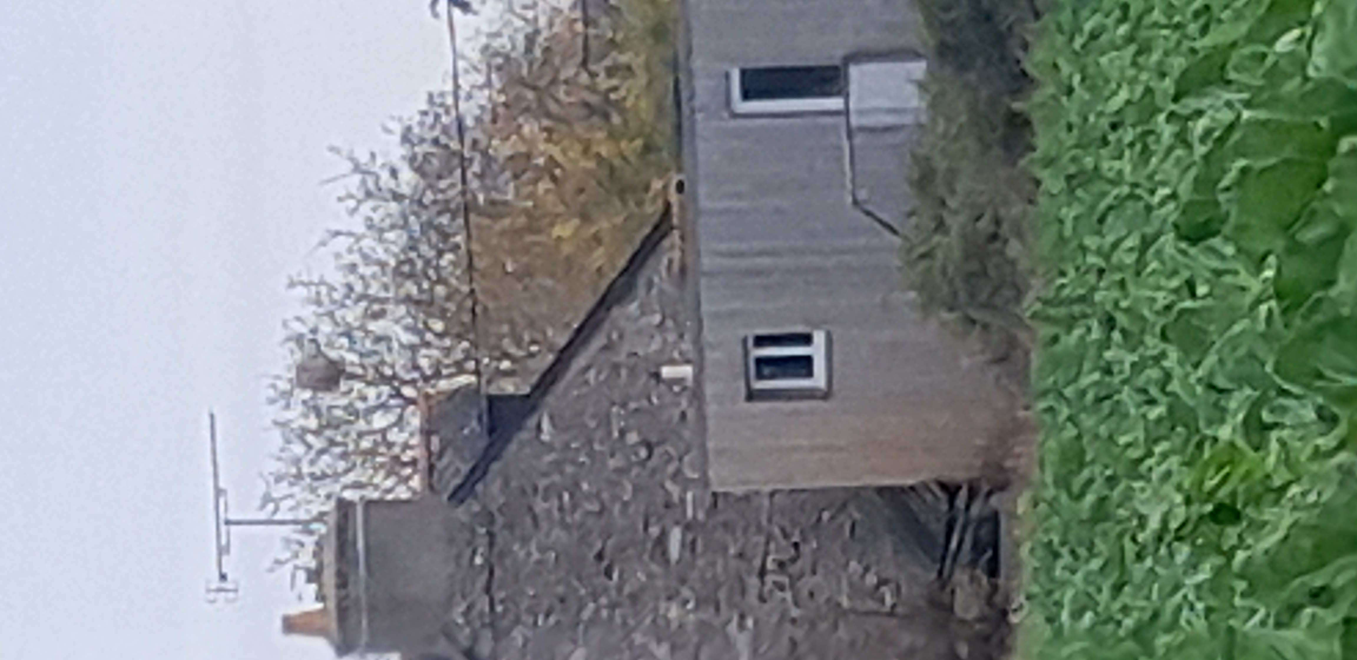 Photo supplémentaire du signalement #652