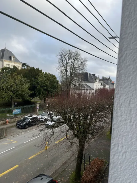 Nid de frelon asiatique à Vannes (56) — Confirmé