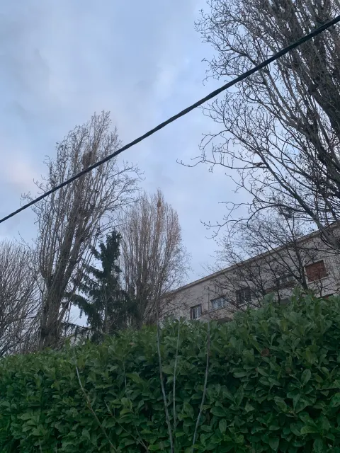 Photo du signalement #741