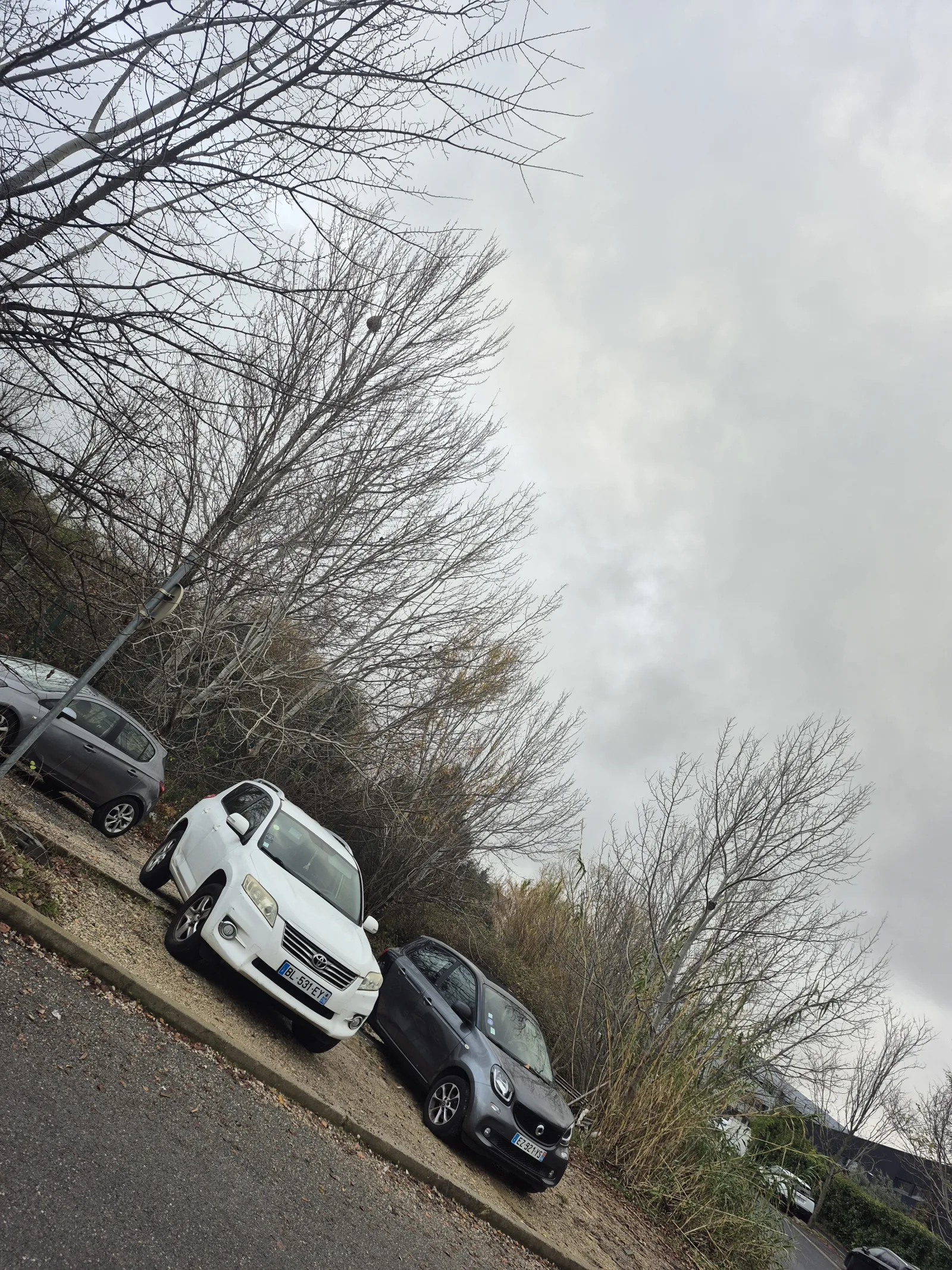 Nid signalé à Montpellier